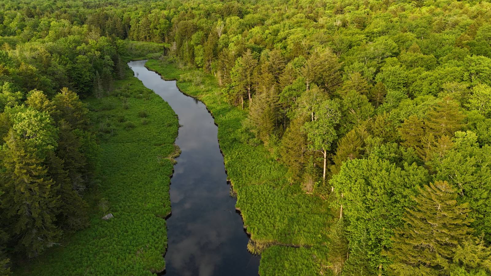 #16 photo, 00 Withers Rd, Ohio , NY 13324