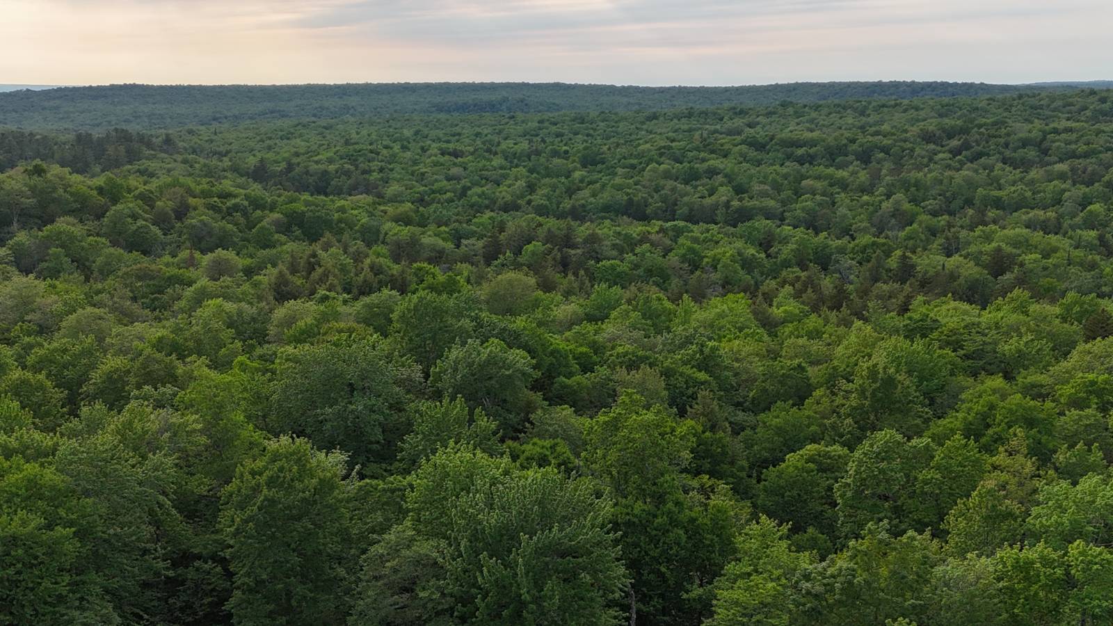 #17 photo, 00 Withers Rd, Ohio , NY 13324