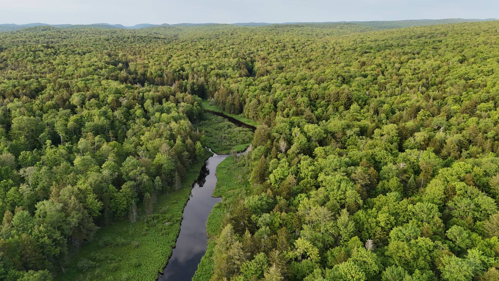 #18 photo, 00 Withers Rd, Ohio , NY 13324