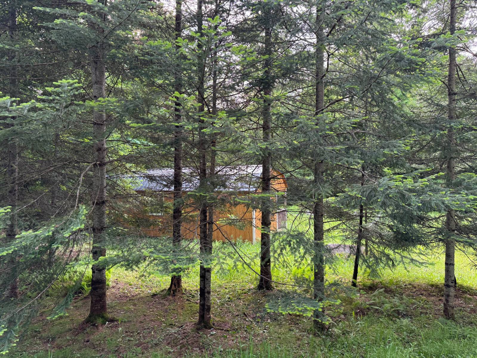 #21 photo, 00 Withers Rd, Ohio , NY 13324