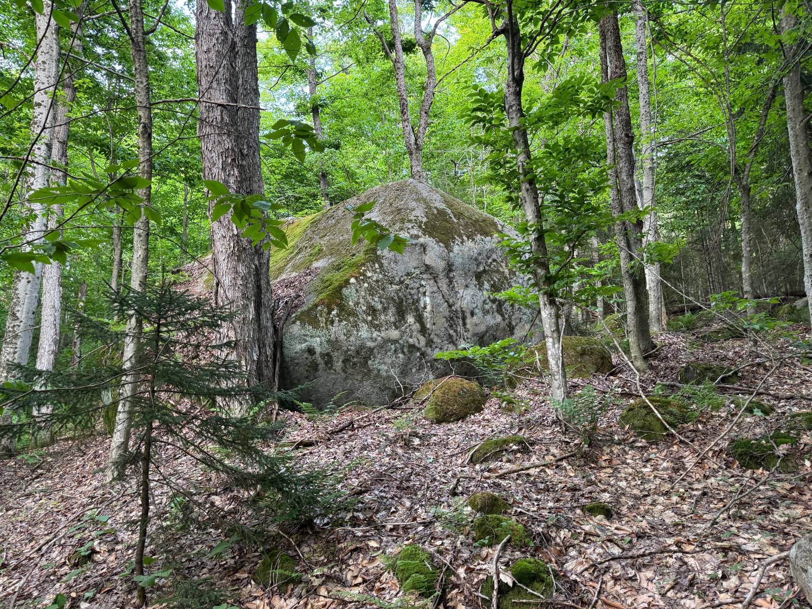 #3 photo, 00 Withers Rd, Ohio , NY 13324