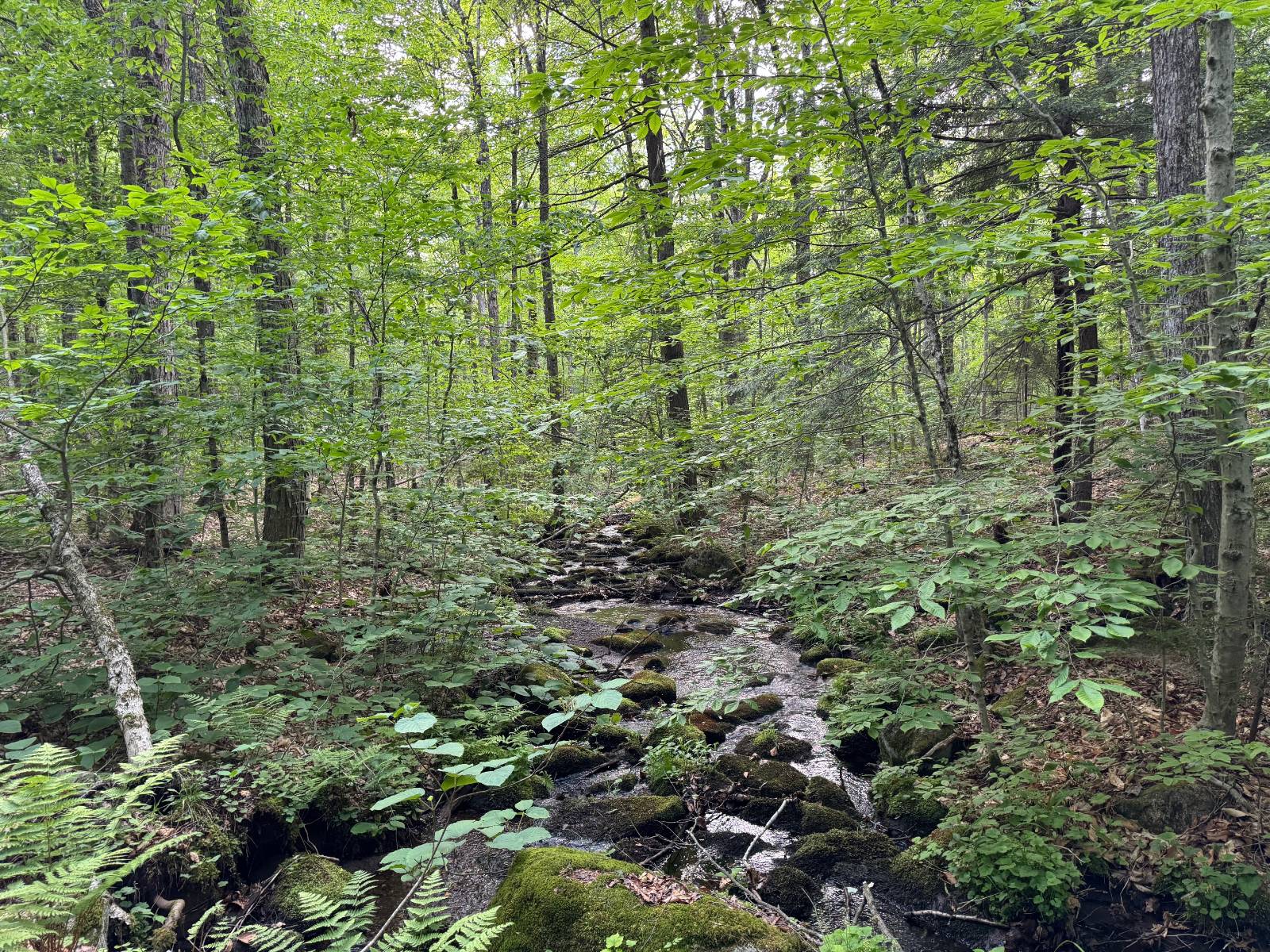 #30 photo, 00 Withers Rd, Ohio , NY 13324