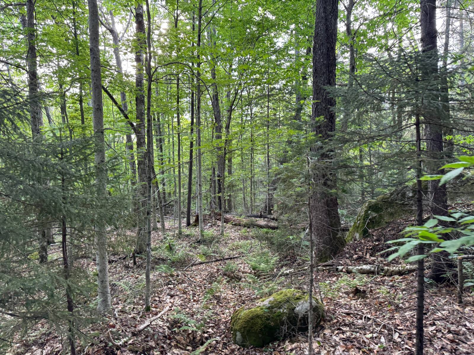 #34 photo, 00 Withers Rd, Ohio , NY 13324