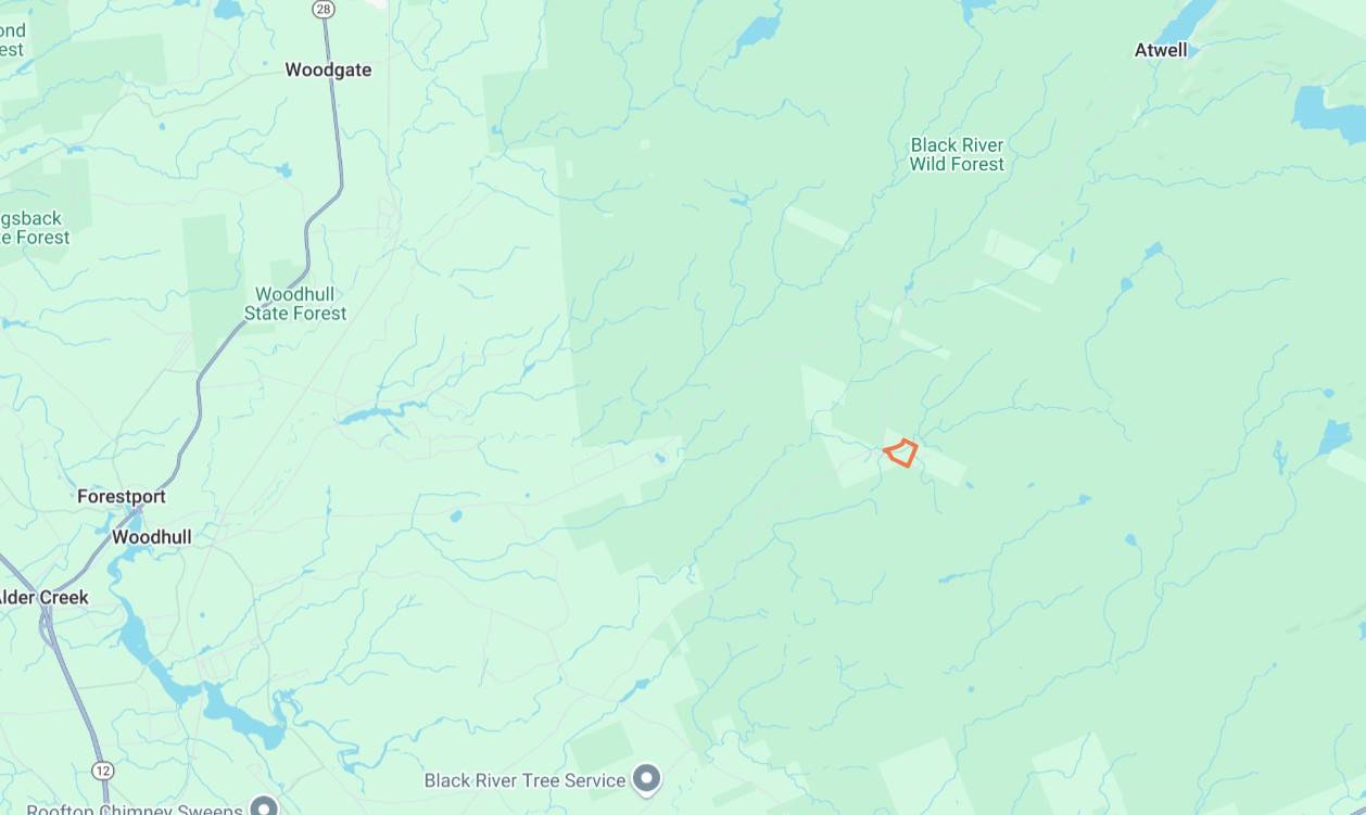 #35 photo, 00 Withers Rd, Ohio , NY 13324