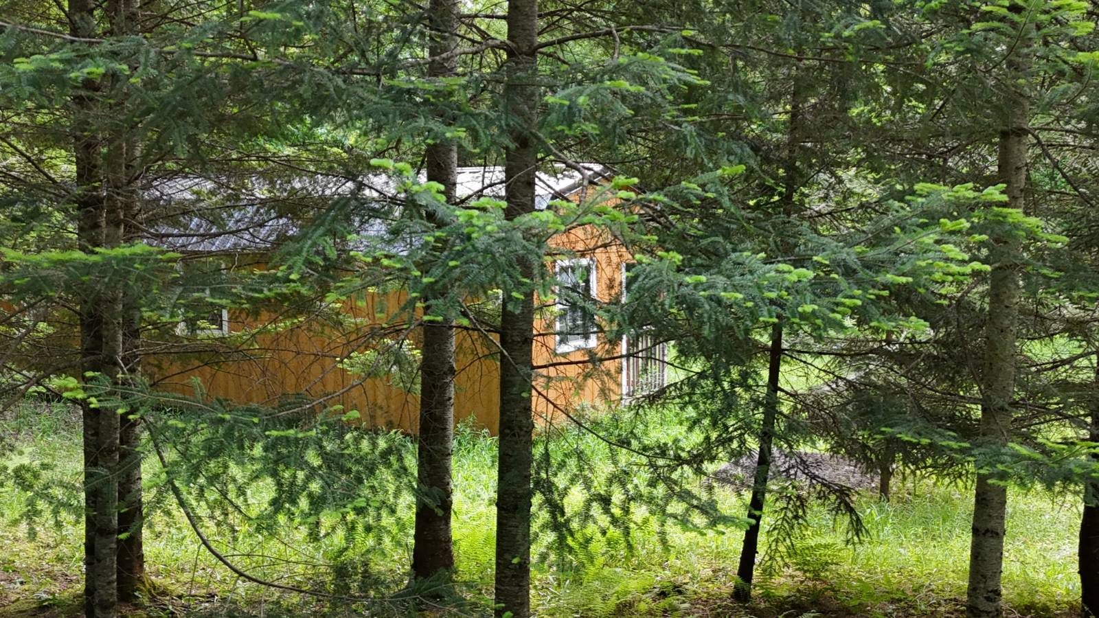 #7 photo, 00 Withers Rd, Ohio , NY 13324