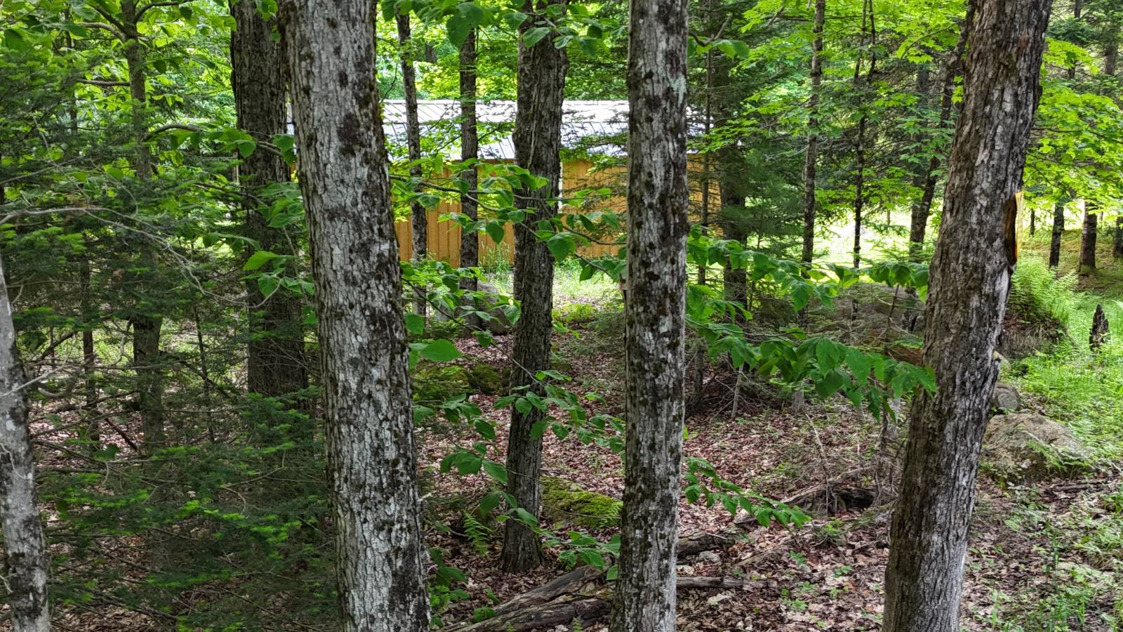 #8 photo, 00 Withers Rd, Ohio , NY 13324