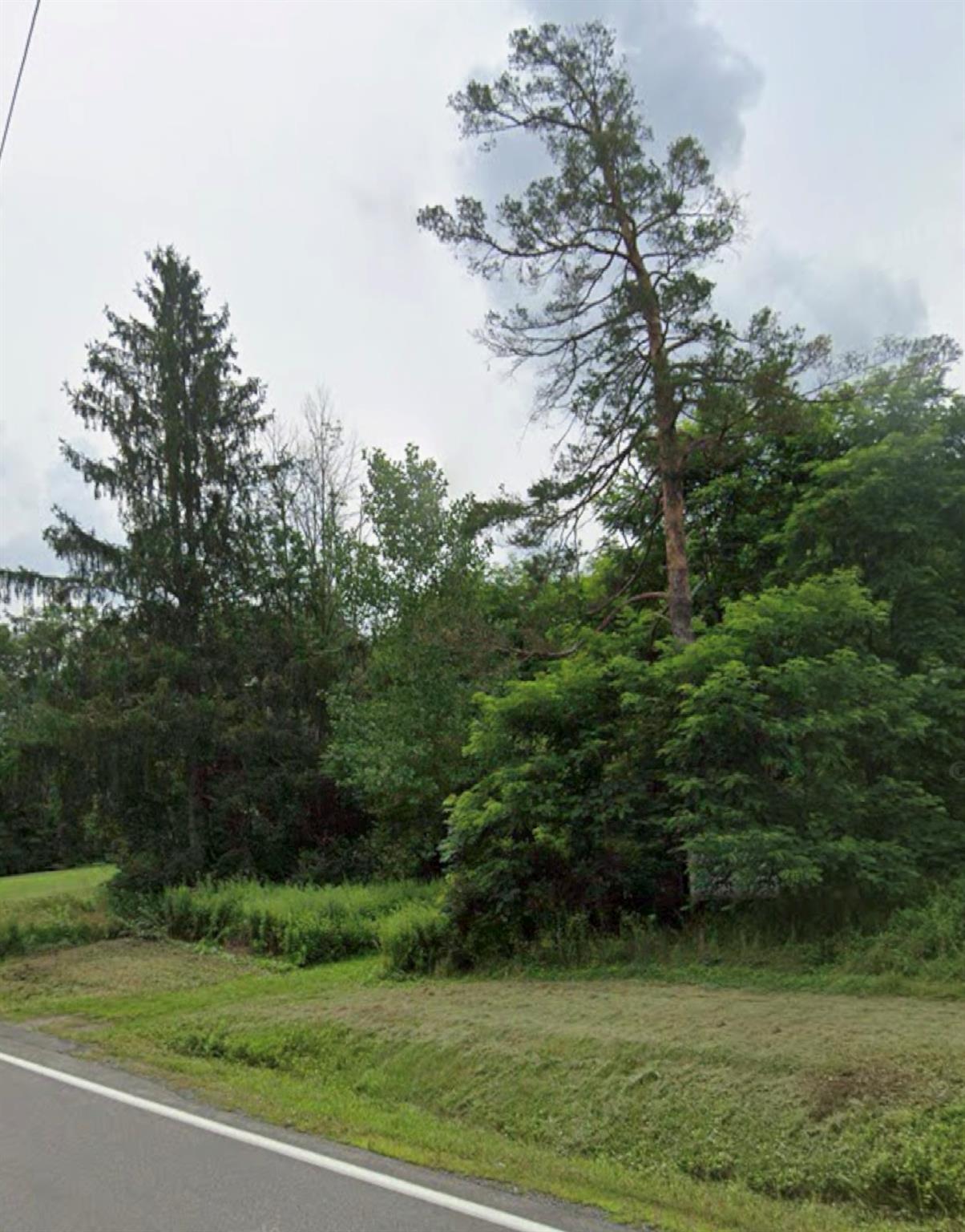 #2 photo, 14951 State Route 23, Prattsville , NY 12468