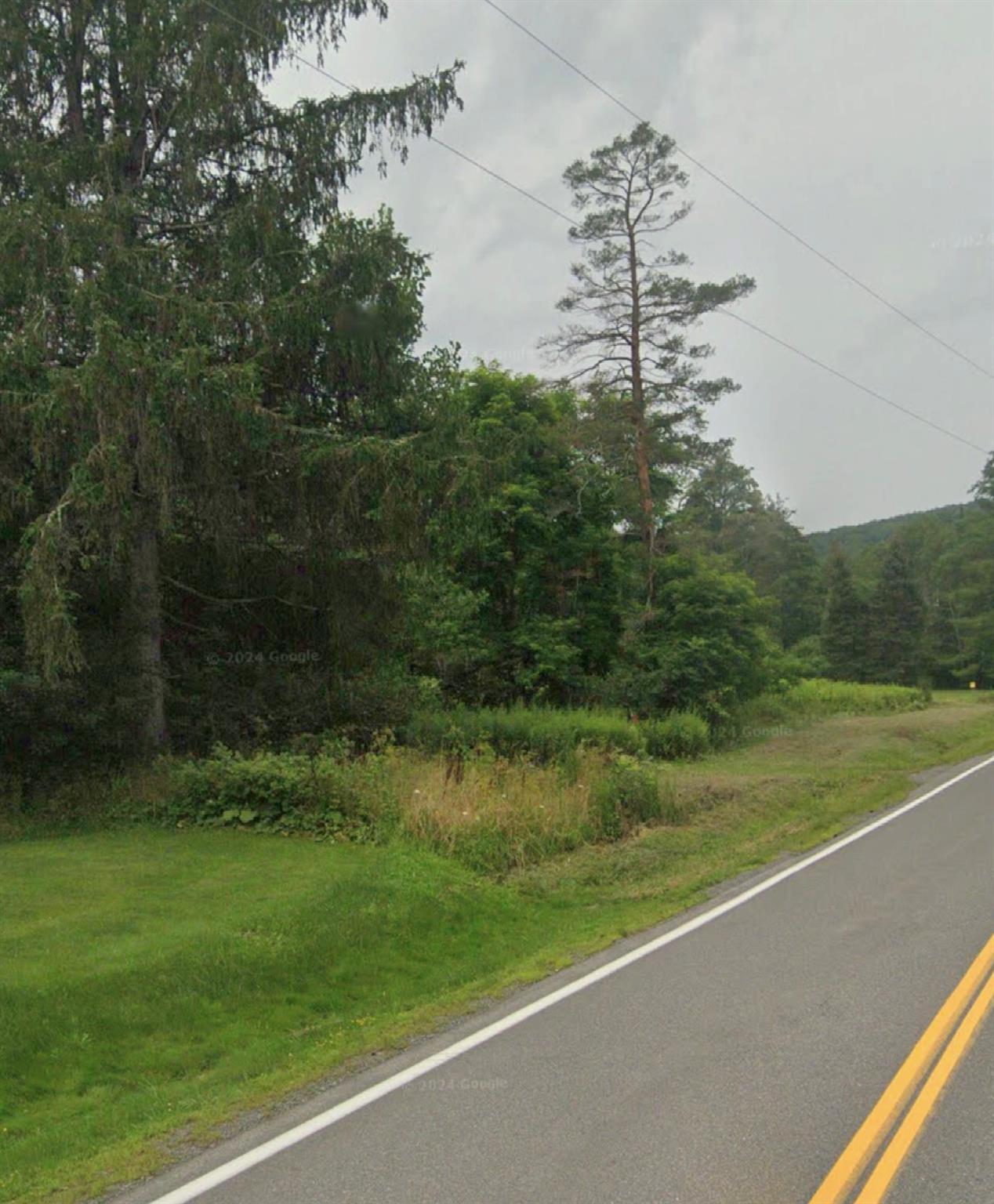 #3 photo, 14951 State Route 23, Prattsville , NY 12468