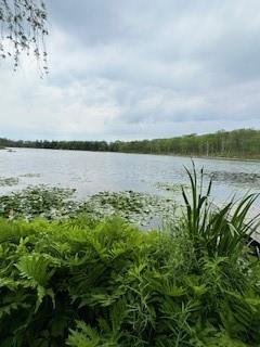 #5 photo, Gardner Drive, Port Jervis , NY 12771