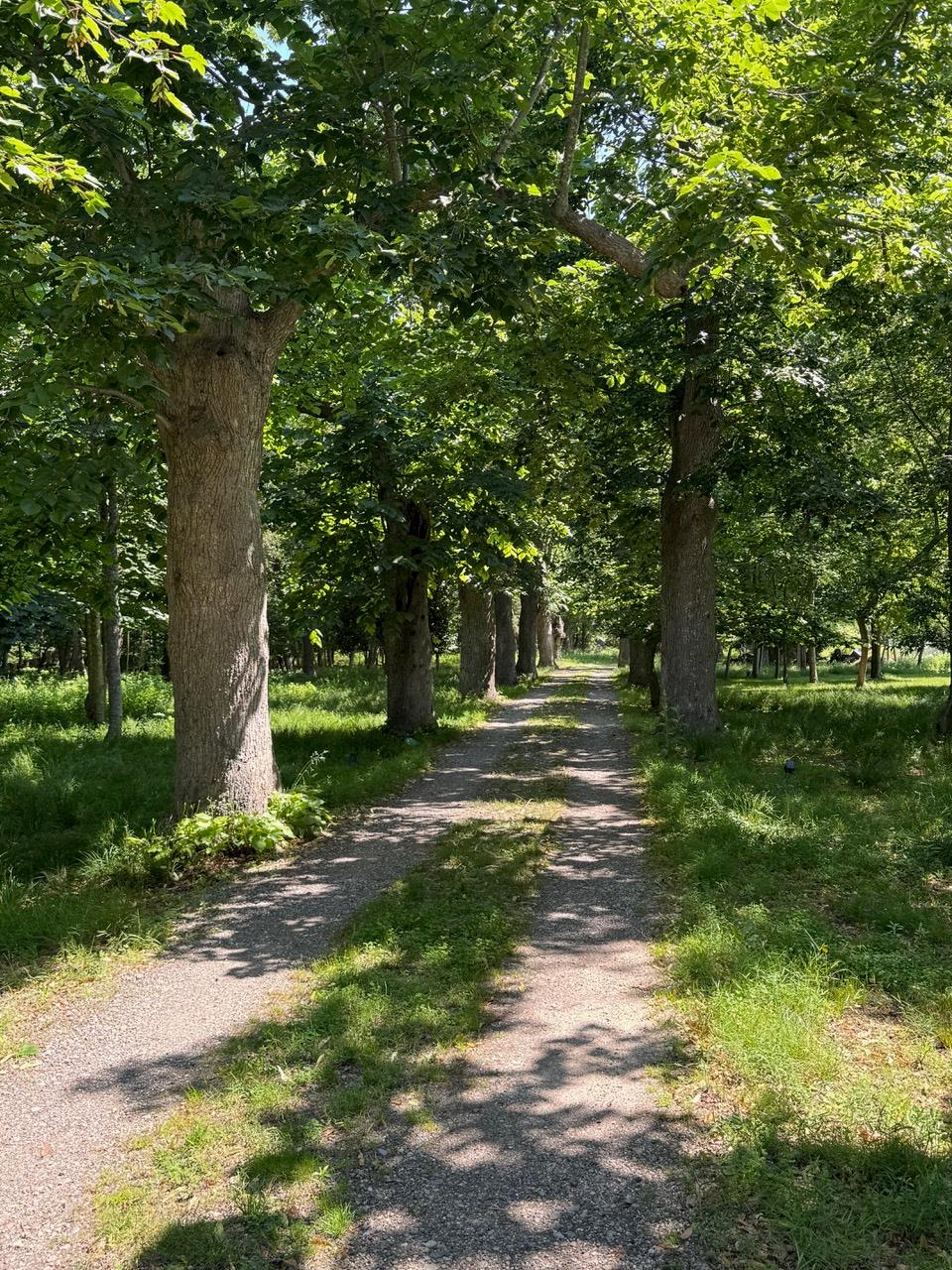 #9 photo, 34 Old Neck Road, サフォーク郡 Center Moriches , NY 11934