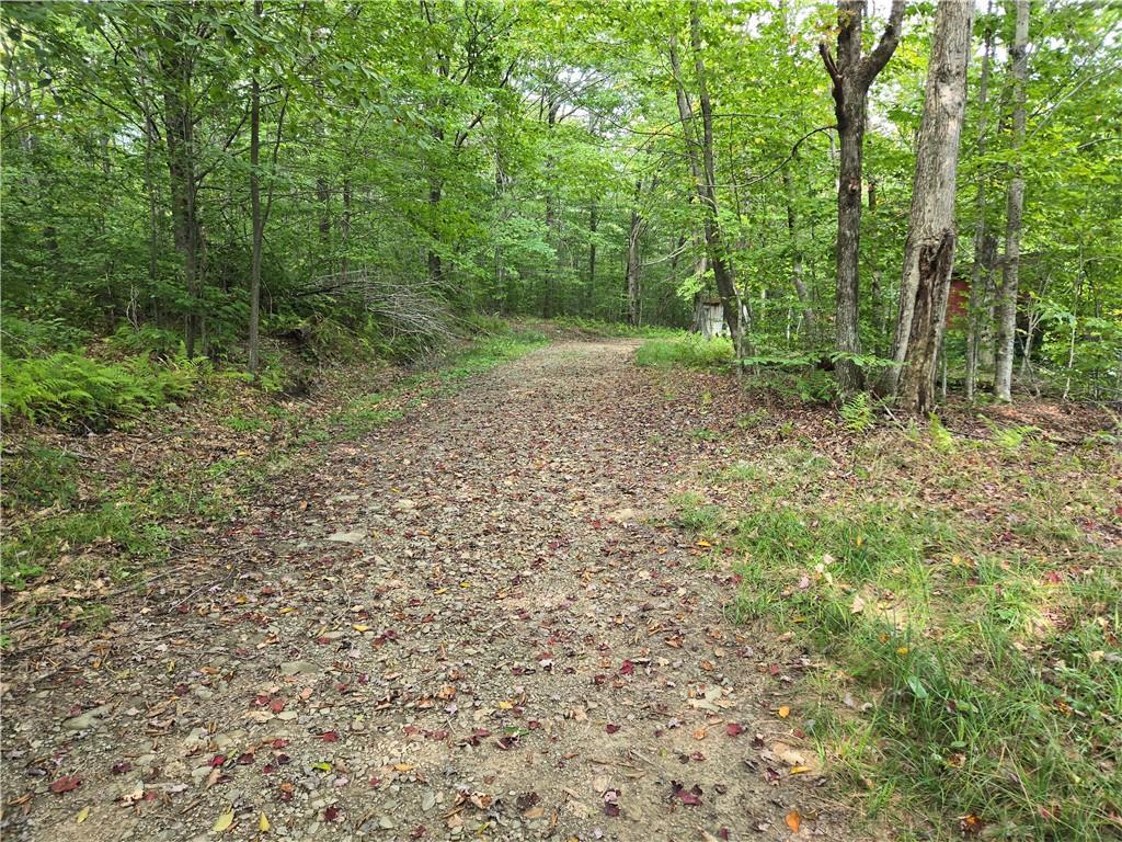 #11 photo, 646 Dufton Hollow Road, Hancock , NY 13783