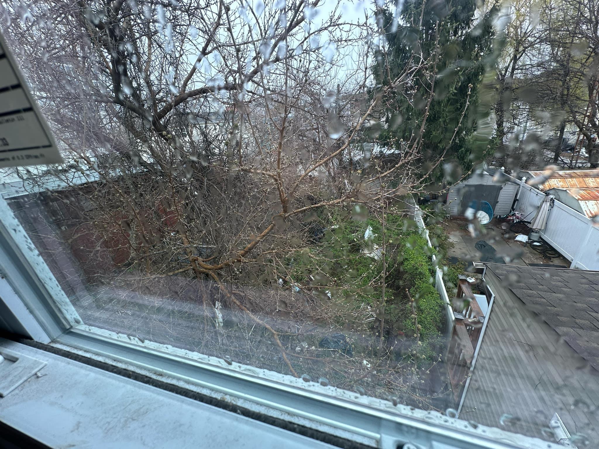 #4 photo, 303 Hendrix Street, ブルックリン区 Brooklyn , NY 11207