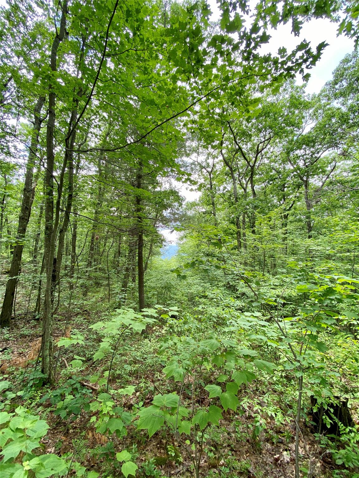 #10 photo, 400 Mercer Mountain Road, East Chatham , NY 12060