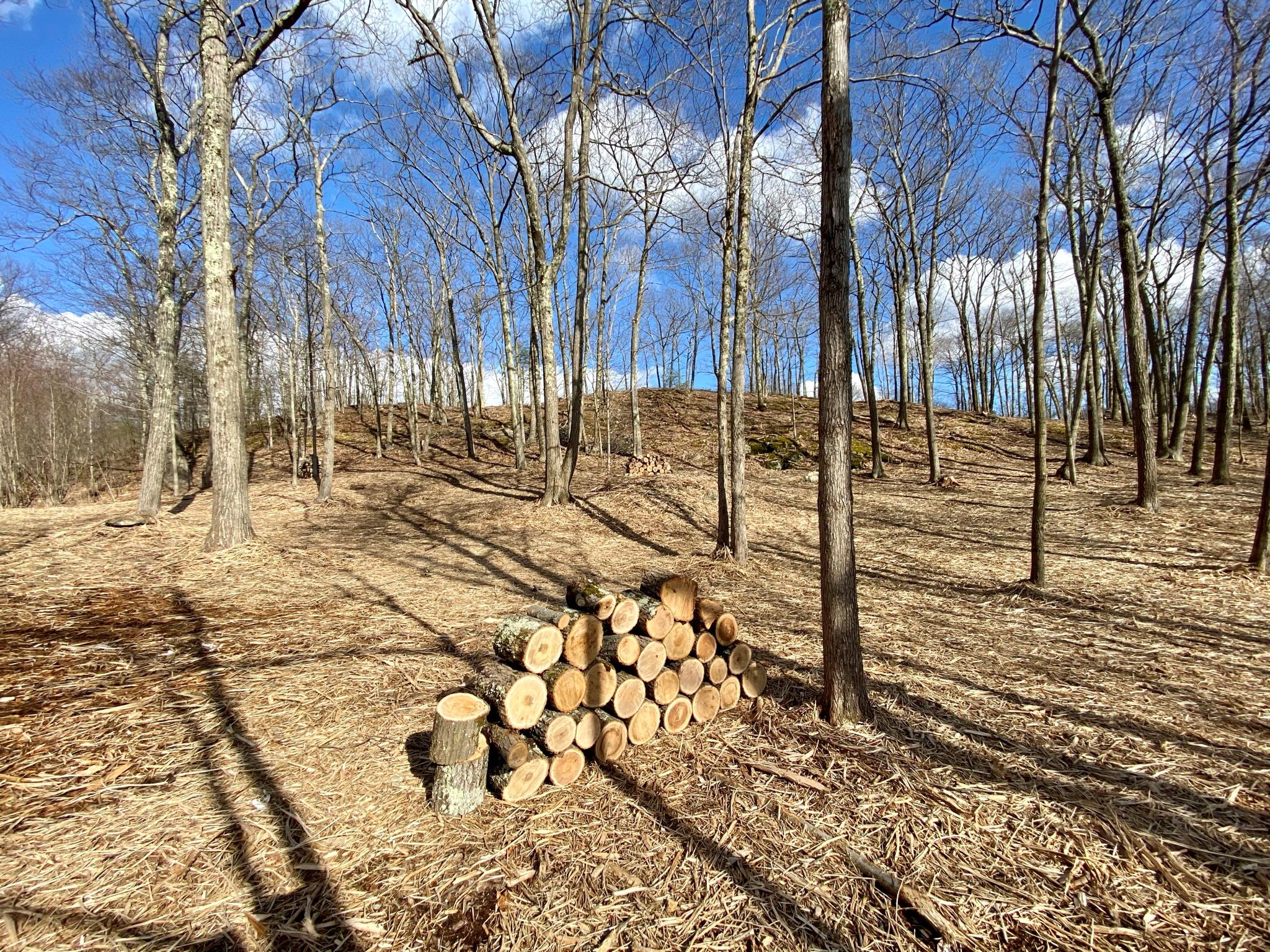 #7 photo, 400 Mercer Mountain Road, East Chatham , NY 12060