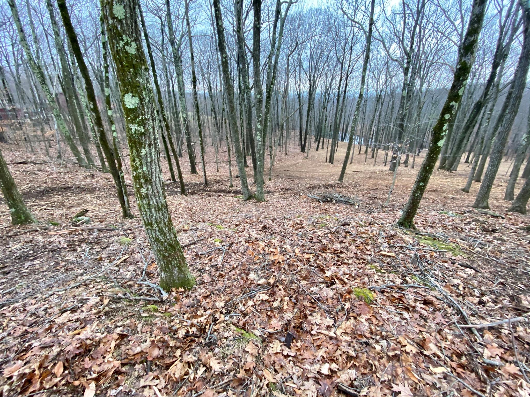 #8 photo, 400 Mercer Mountain Road, East Chatham , NY 12060