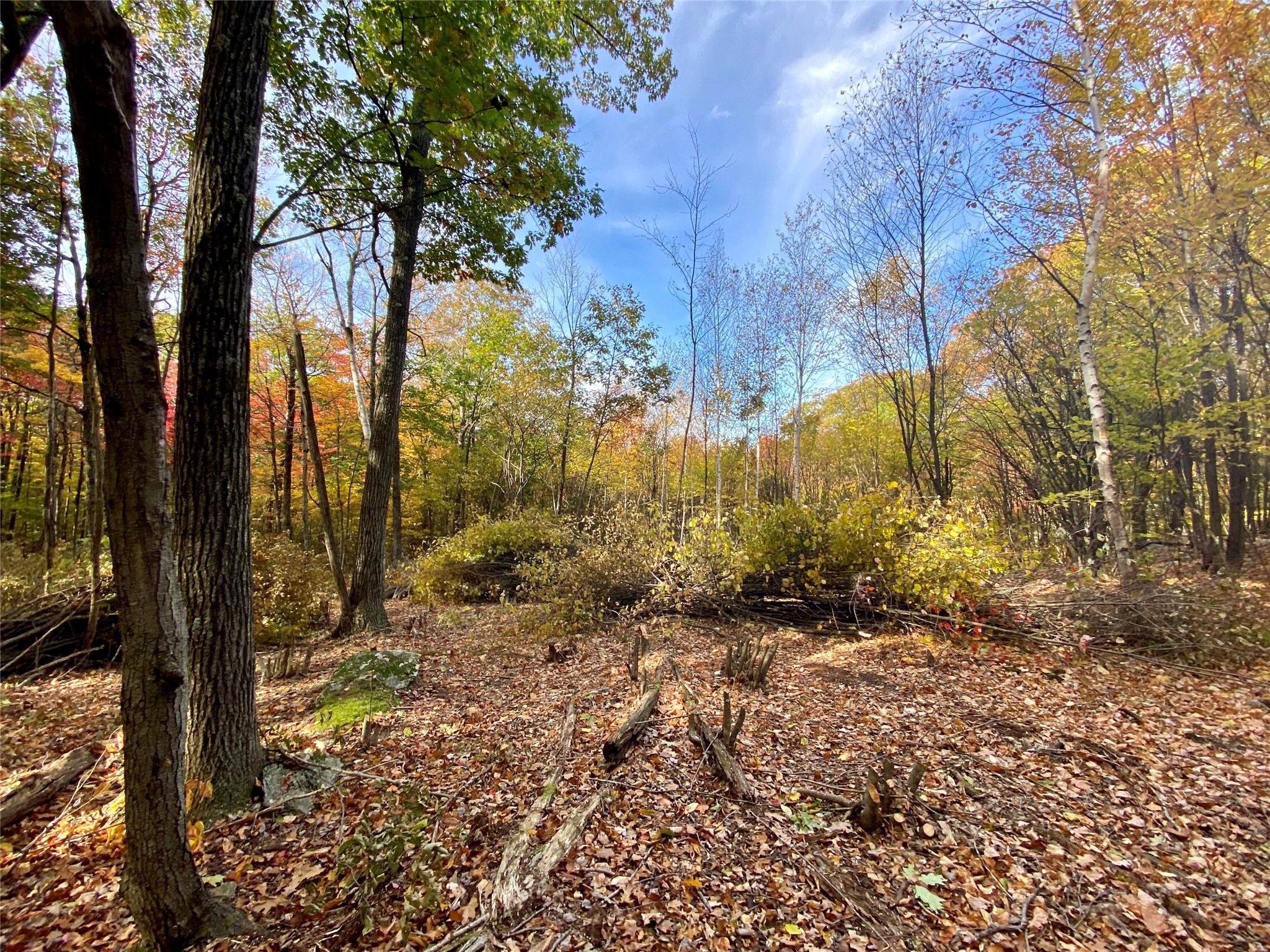 #9 photo, 400 Mercer Mountain Road, East Chatham , NY 12060