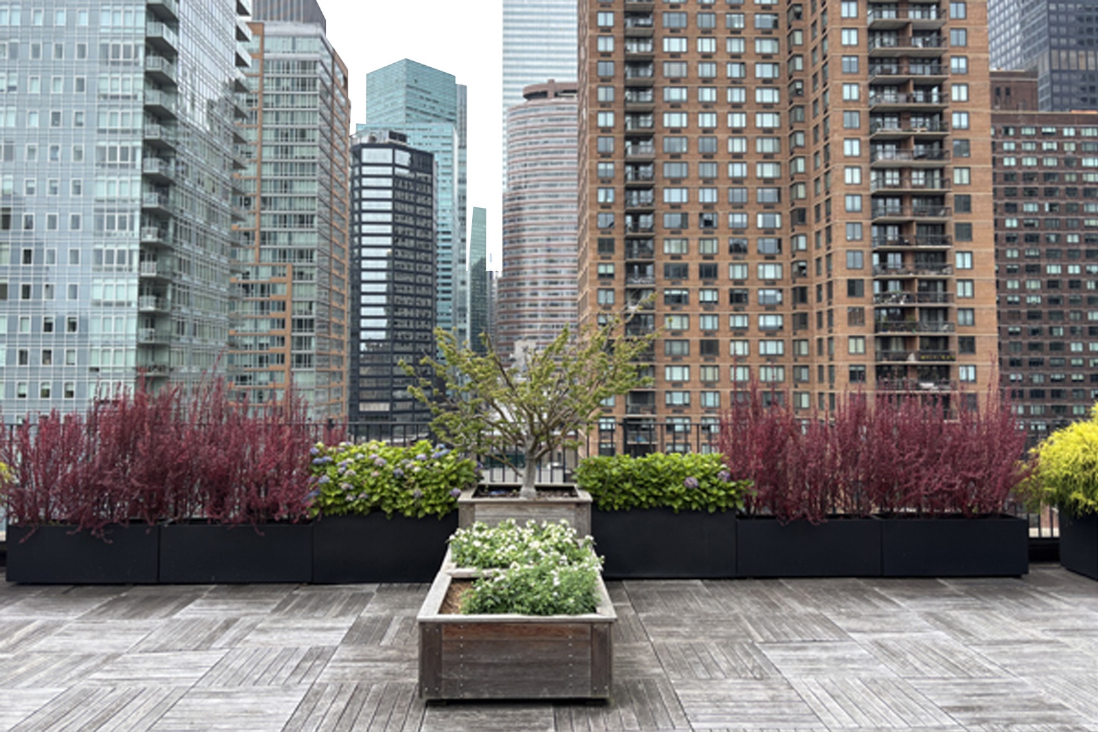 #15 photo, 333 E 53rd Street, マンハッタン Sutton Place , NY 10022