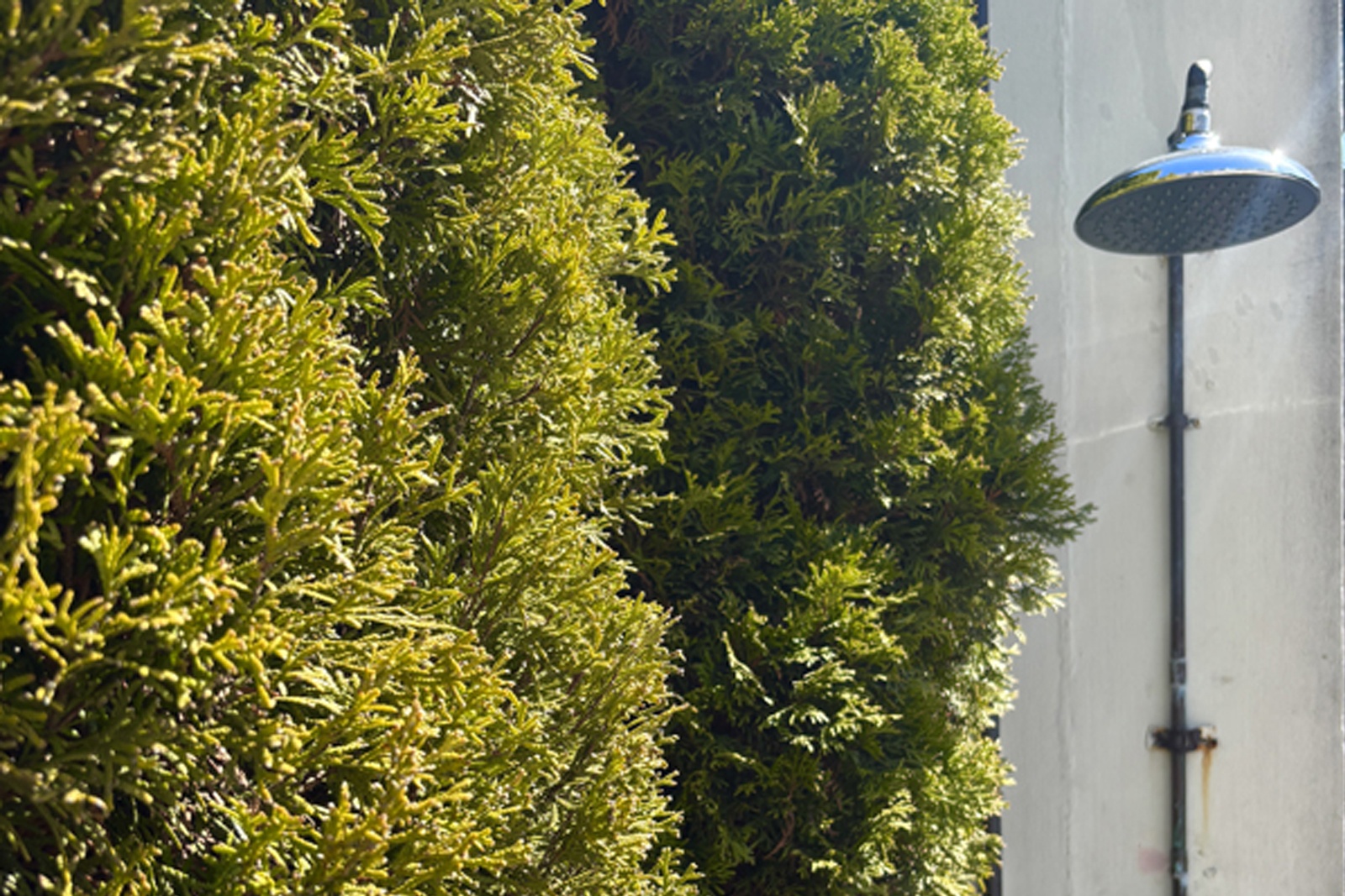 #18 photo, 333 E 53rd Street, マンハッタン Sutton Place , NY 10022