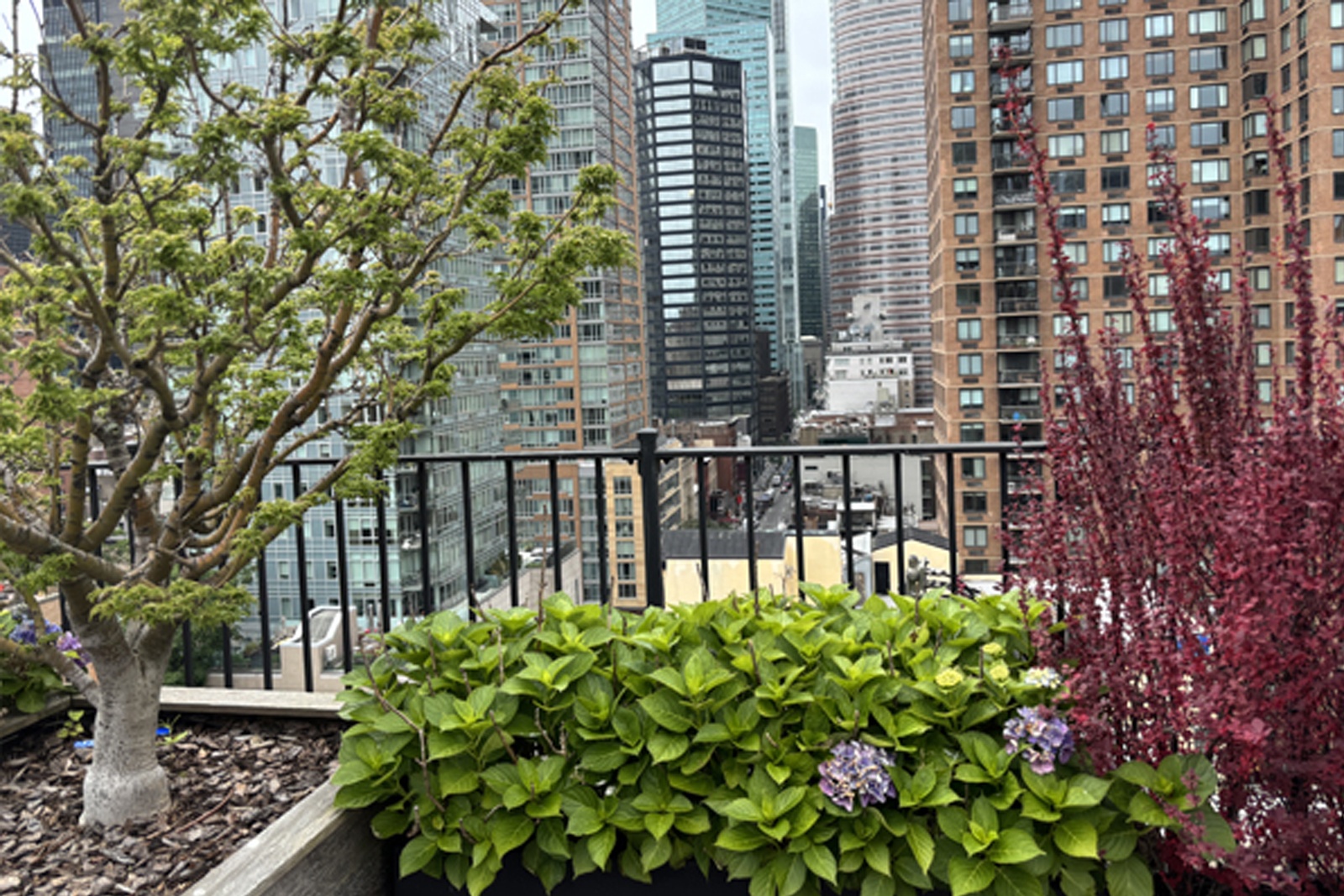 #21 photo, 333 E 53rd Street, マンハッタン Sutton Place , NY 10022