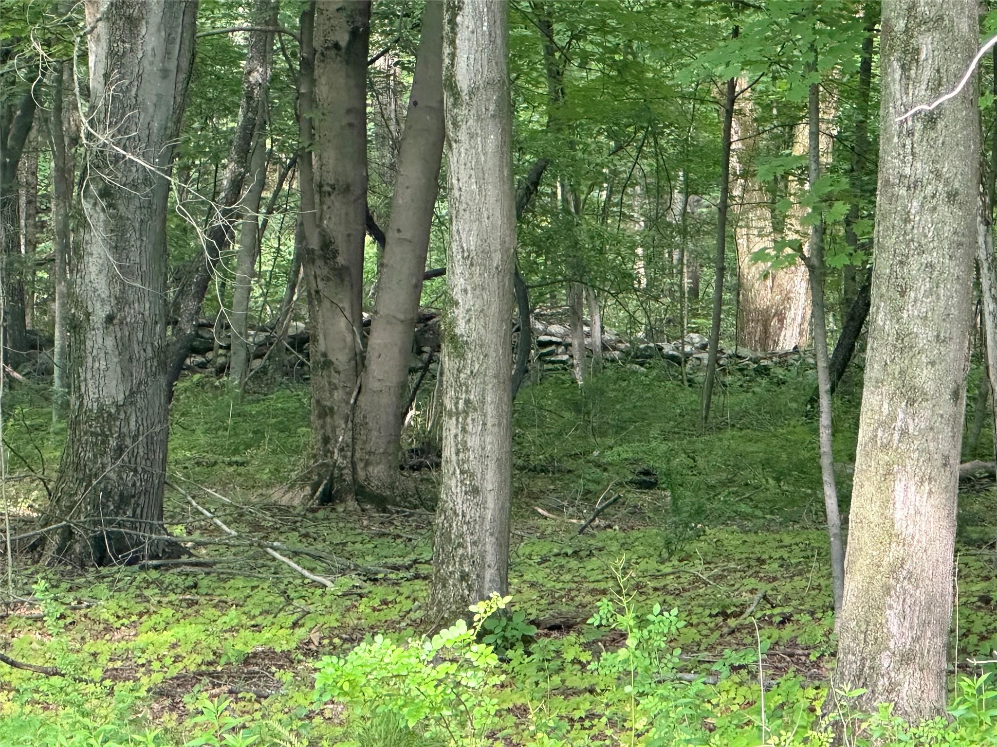 #1 photo, 251 Fosler Road, Plattekill , NY 12528