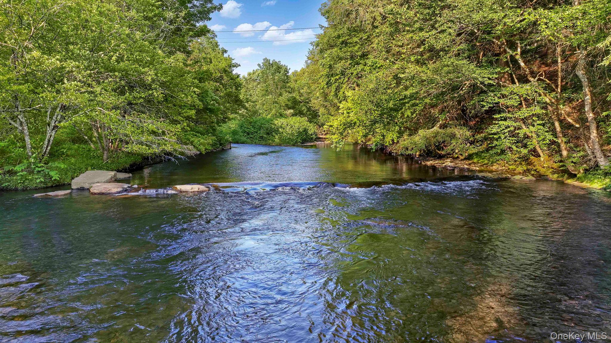 #3 photo, 5/6/7 Ames-Bott Bridge Road, Livingston Manor , NY 12758