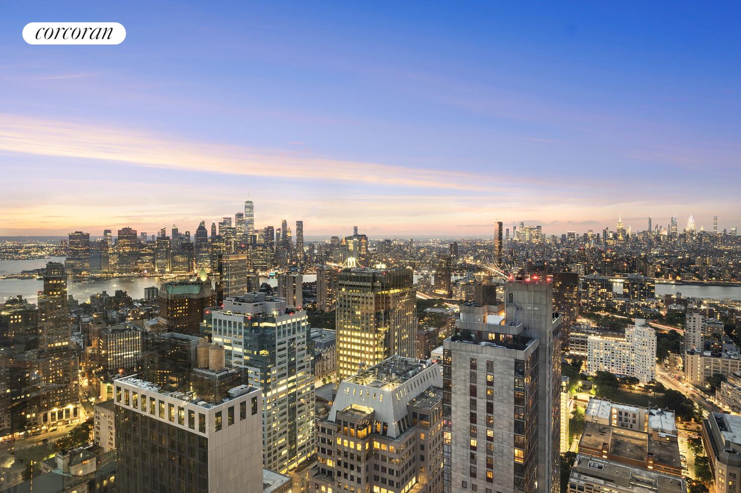 #20 photo, 388 BRIDGE Street, ブルックリン区 Downtown Brooklyn , NY 11201