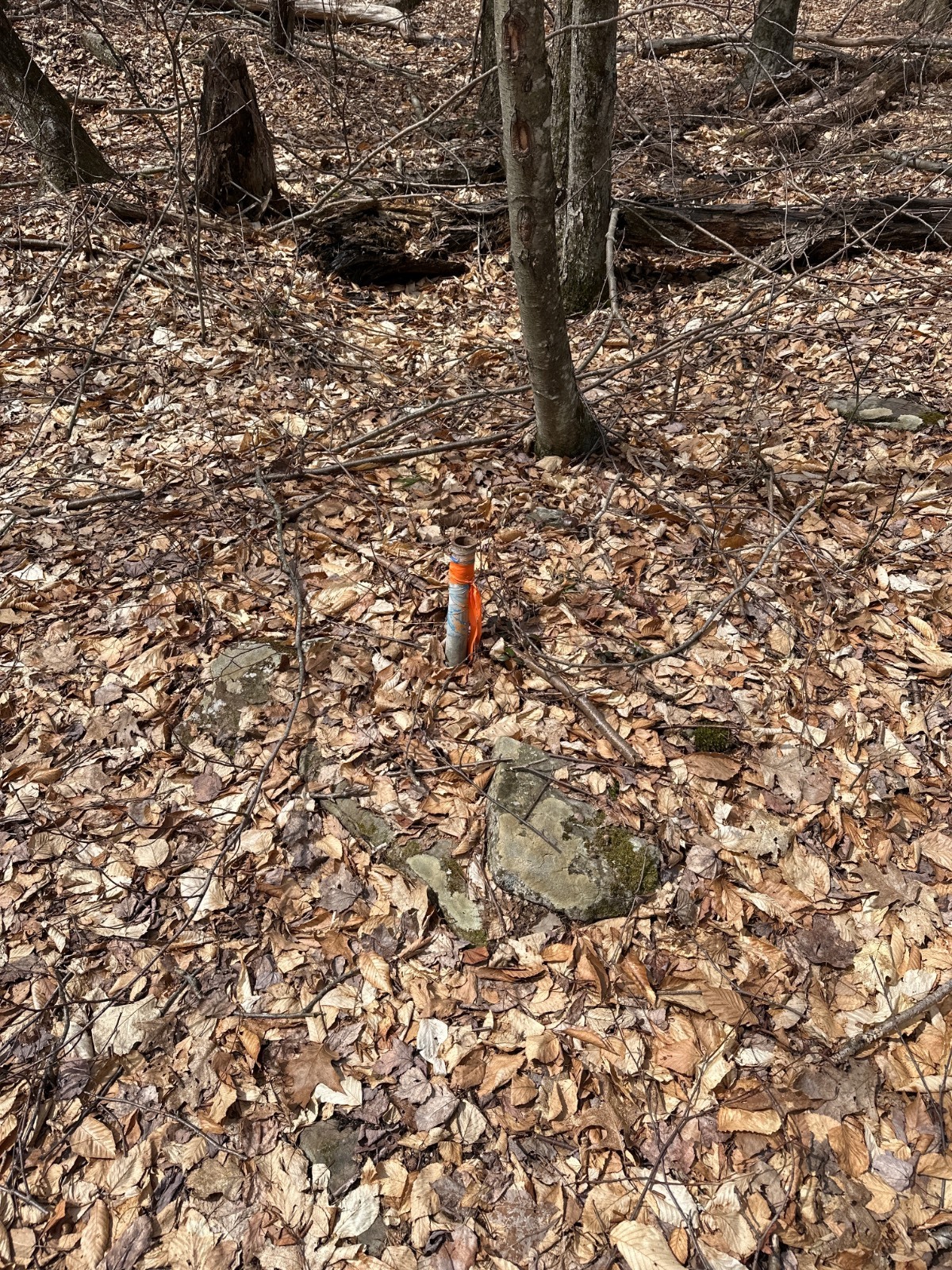 #16 photo, 159 White Birch Lake, Windsor , NY 13865