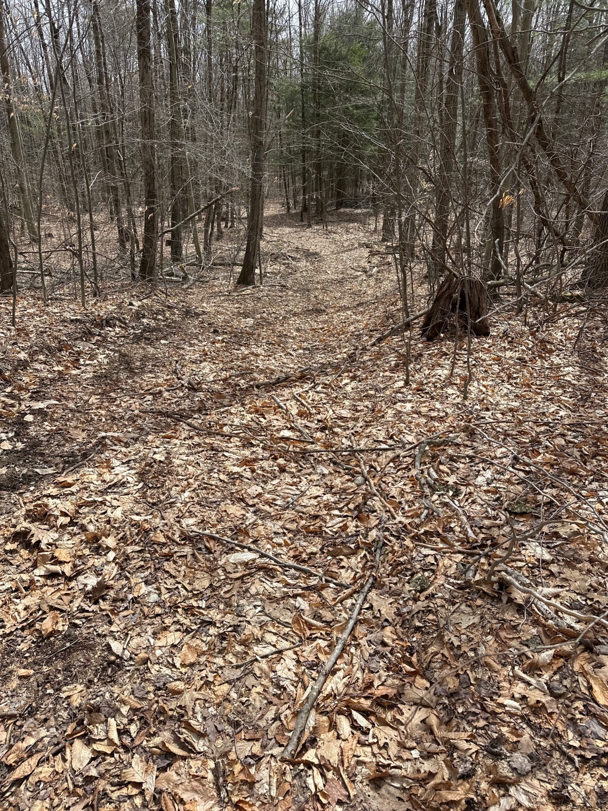 #19 photo, 159 White Birch Lake, Windsor , NY 13865