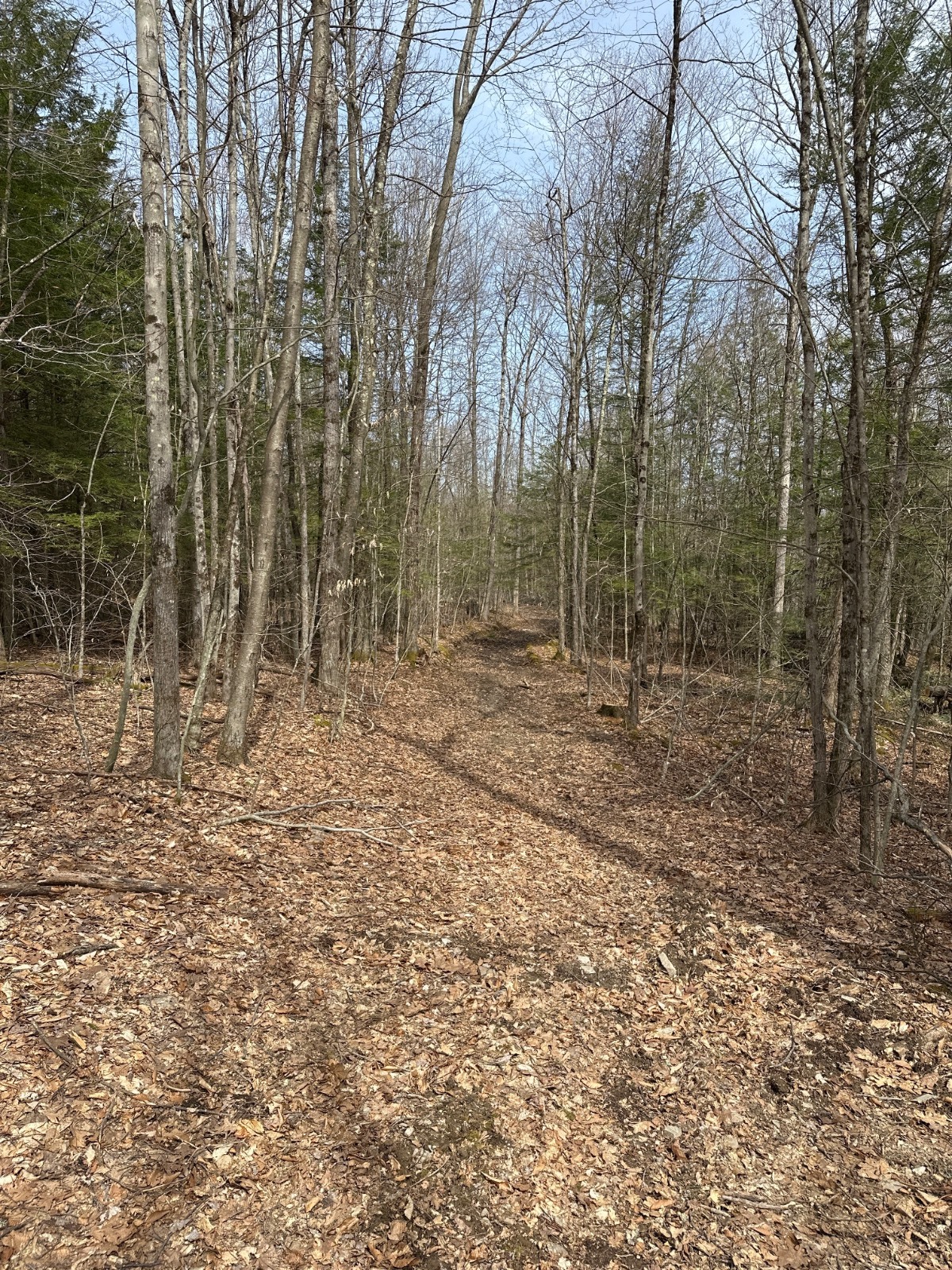 #22 photo, 159 White Birch Lake, Windsor , NY 13865