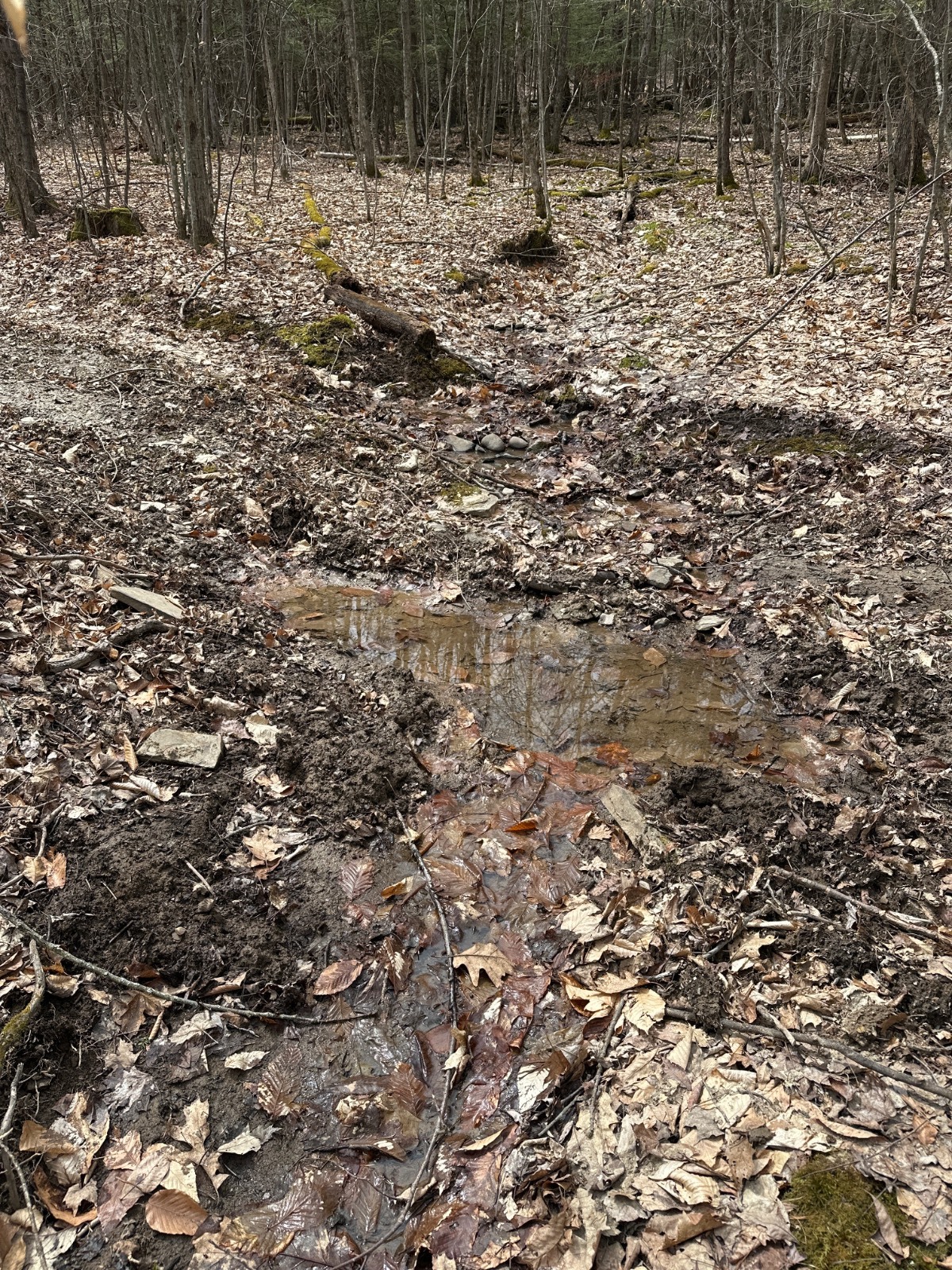 #24 photo, 159 White Birch Lake, Windsor , NY 13865