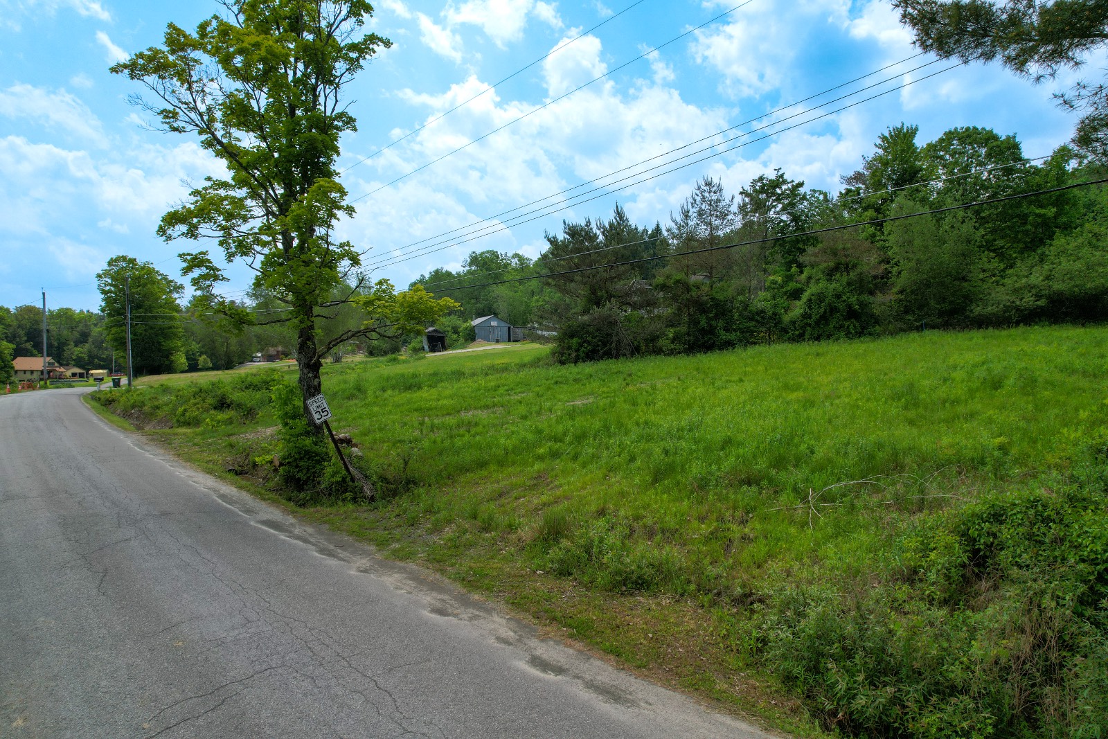 #3 photo, 159 White Birch Lake, Windsor , NY 13865