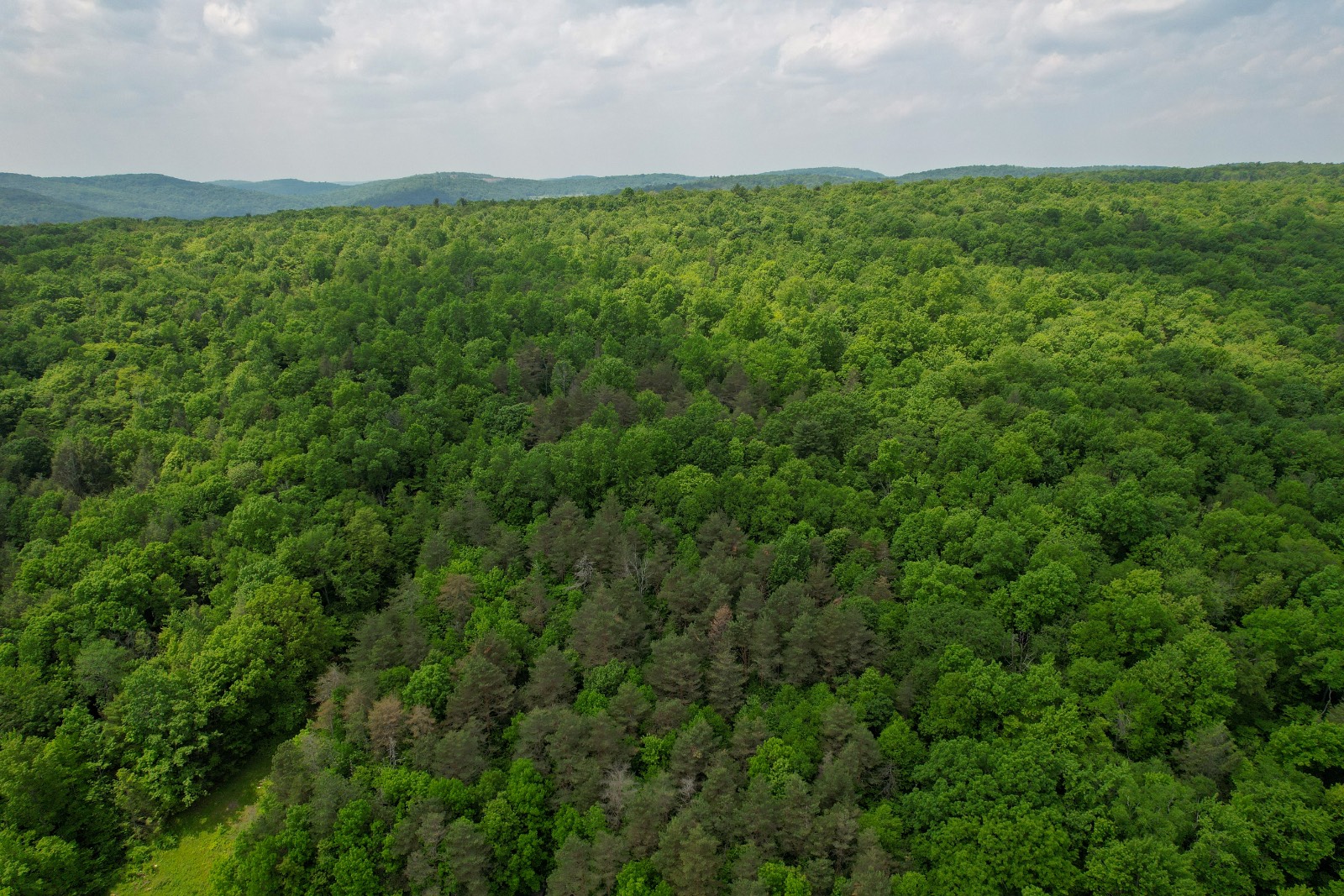 #6 photo, 159 White Birch Lake, Windsor , NY 13865