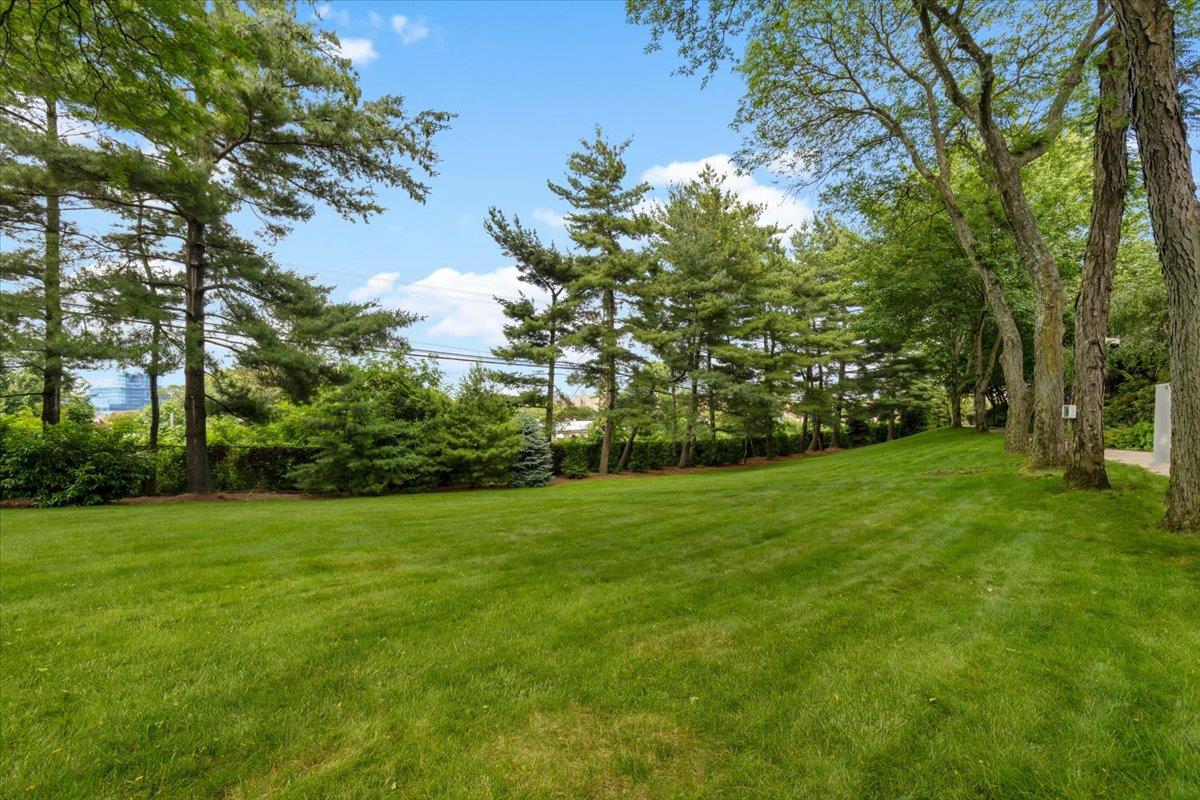 #18 photo, 7429 Calamus Avenue, クイーンズ区 Flushing , NY 11373