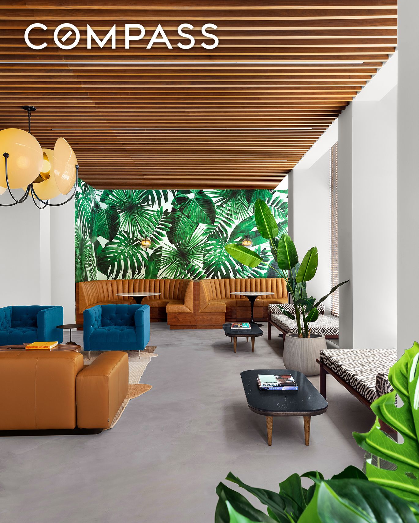 #11 photo, 111 Montgomery Street, ブルックリン区 Crown Heights , NY 11225