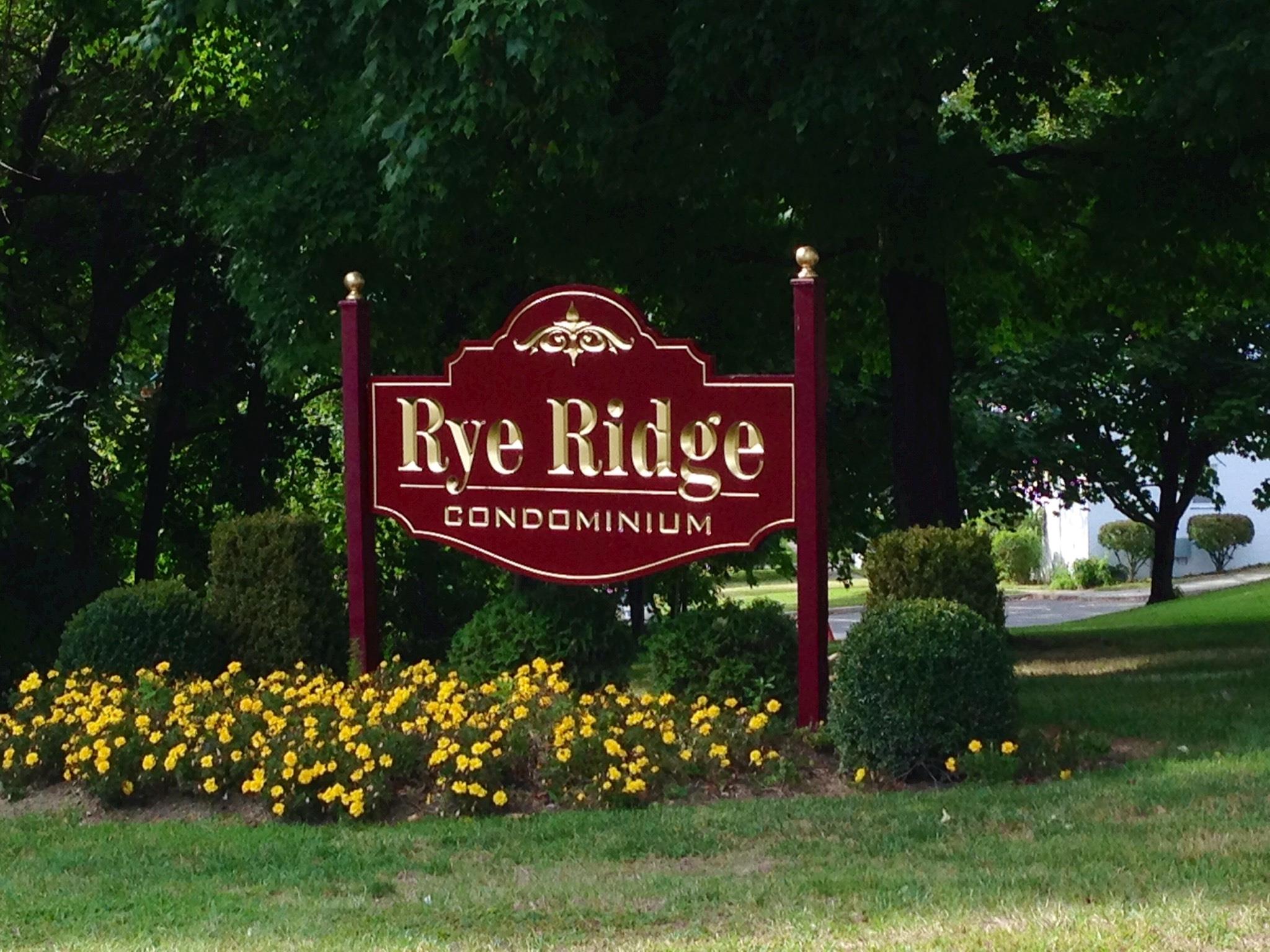 #1 photo, 24 N Ridge Street, 紐約州 Rye Brook , NY 10573