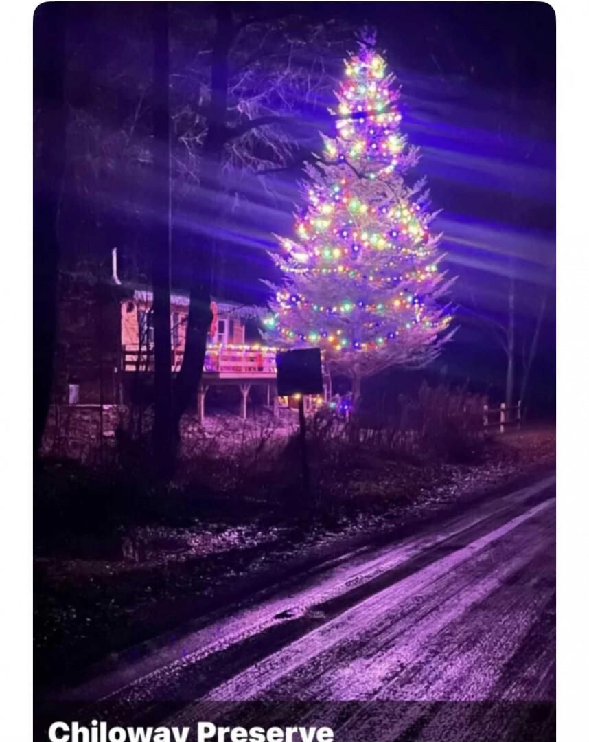 #8 photo, 989 Chiloway Road, Roscoe , NY 13856