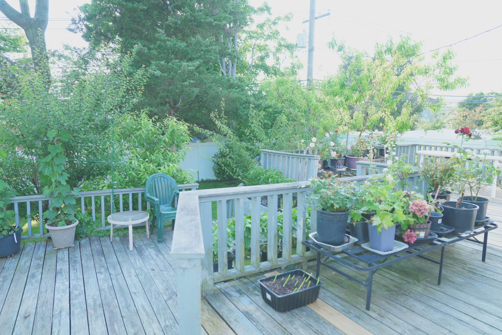 #20 photo, 23 Clinton Lane, ナッソー郡 Jericho , NY 11753