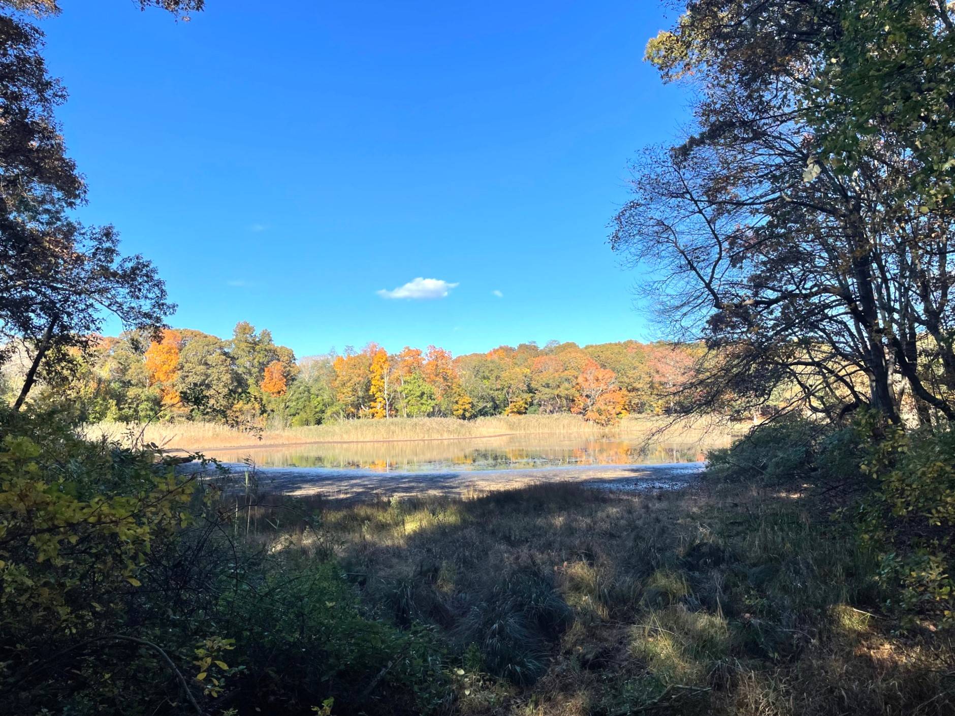 #11 photo, 15 Laurel Lane, サフォーク郡 Sag Harbor , NY 11963