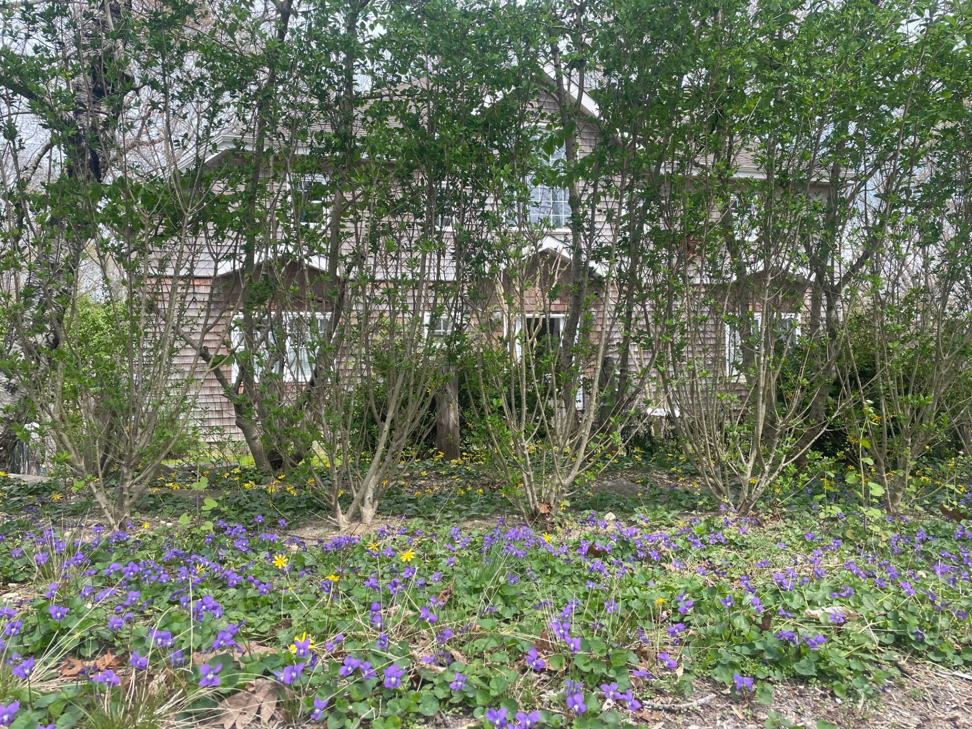 #29 photo, 15 Laurel Lane, サフォーク郡 Sag Harbor , NY 11963