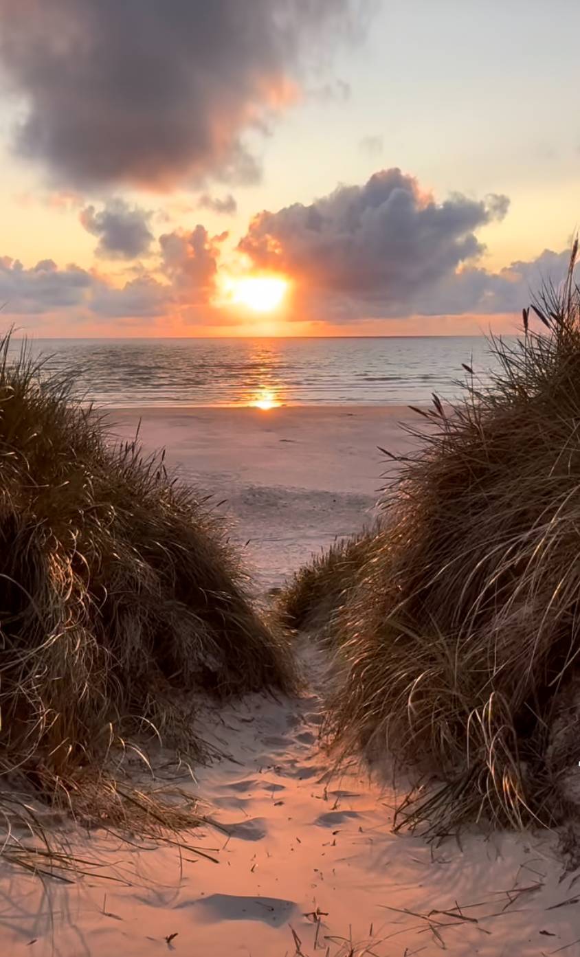 #34 photo, 15 Laurel Lane, サフォーク郡 Sag Harbor , NY 11963