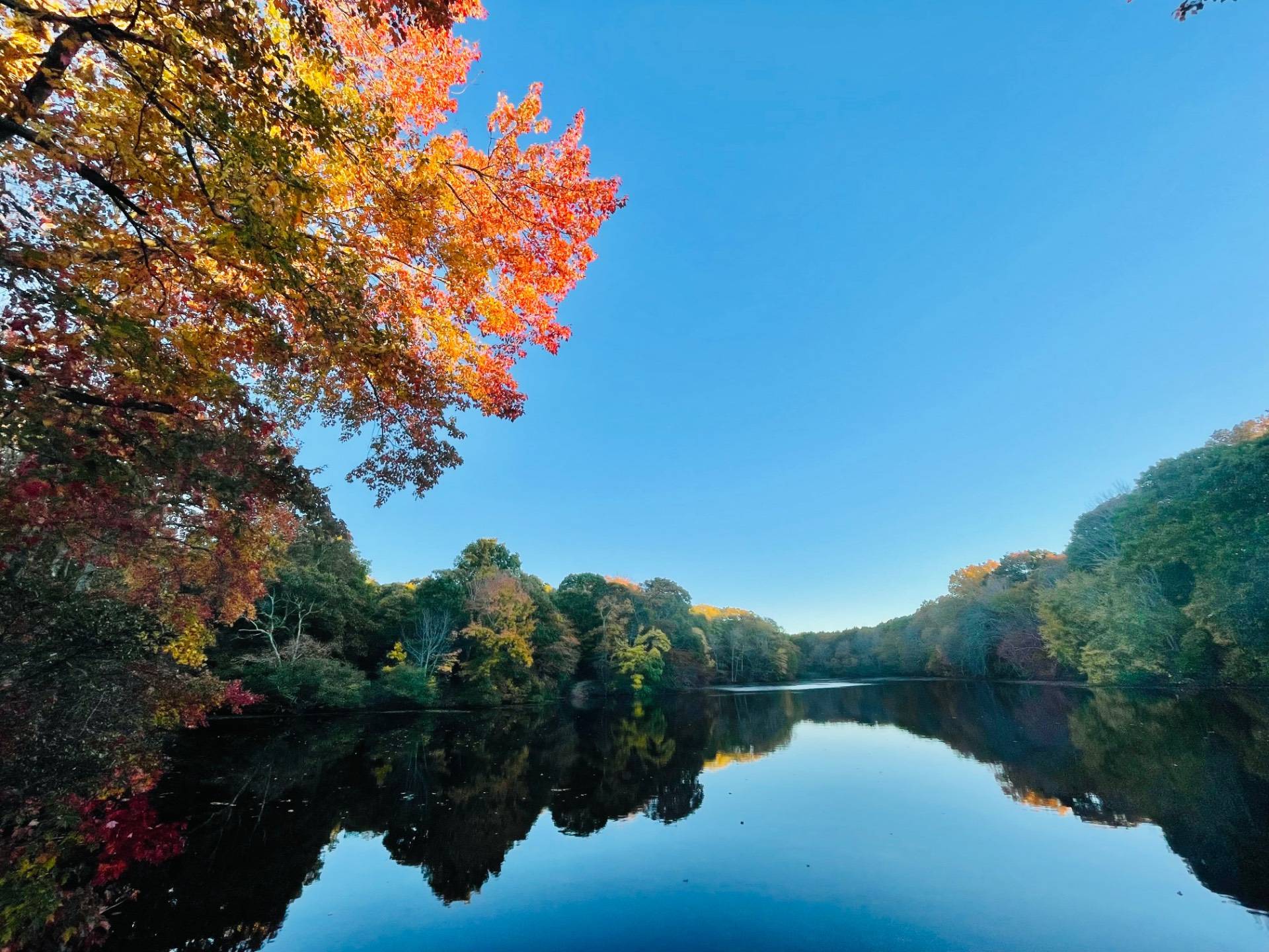 #35 photo, 15 Laurel Lane, サフォーク郡 Sag Harbor , NY 11963