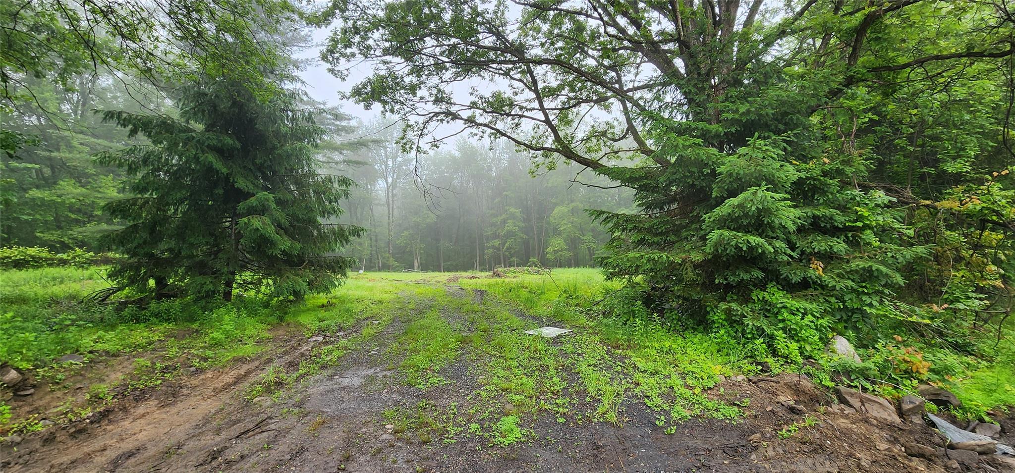 #1 photo, 127 Benneywater Road, Port Jervis , NY 12771