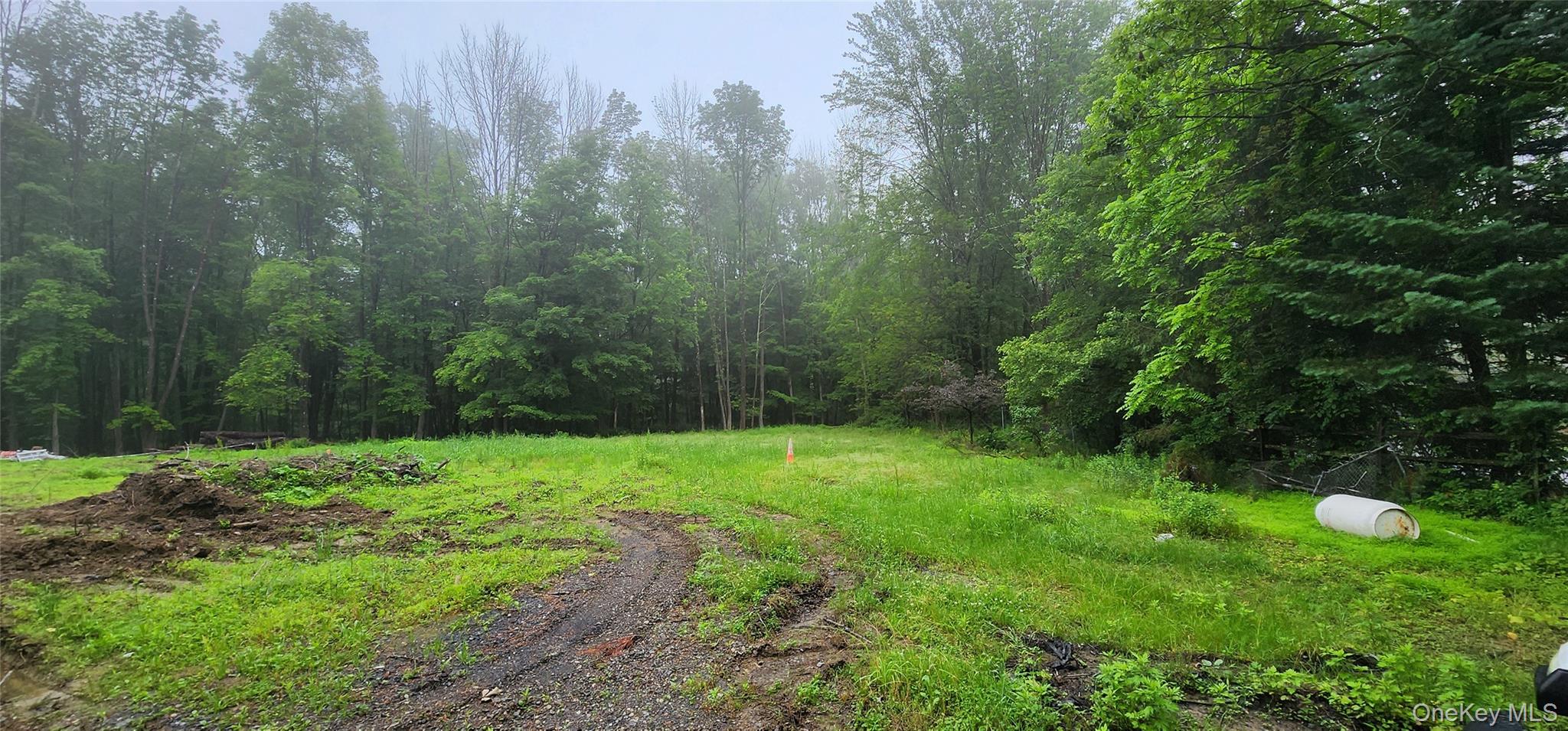 #4 photo, 127 Benneywater Road, Port Jervis , NY 12771