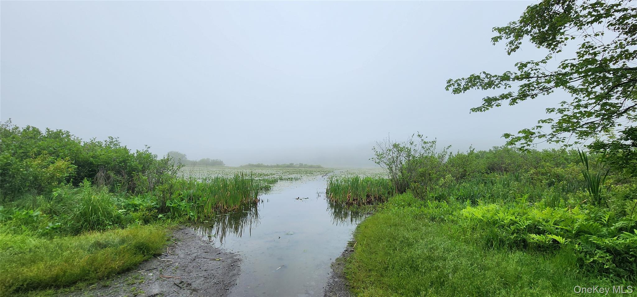 #6 photo, 127 Benneywater Road, Port Jervis , NY 12771