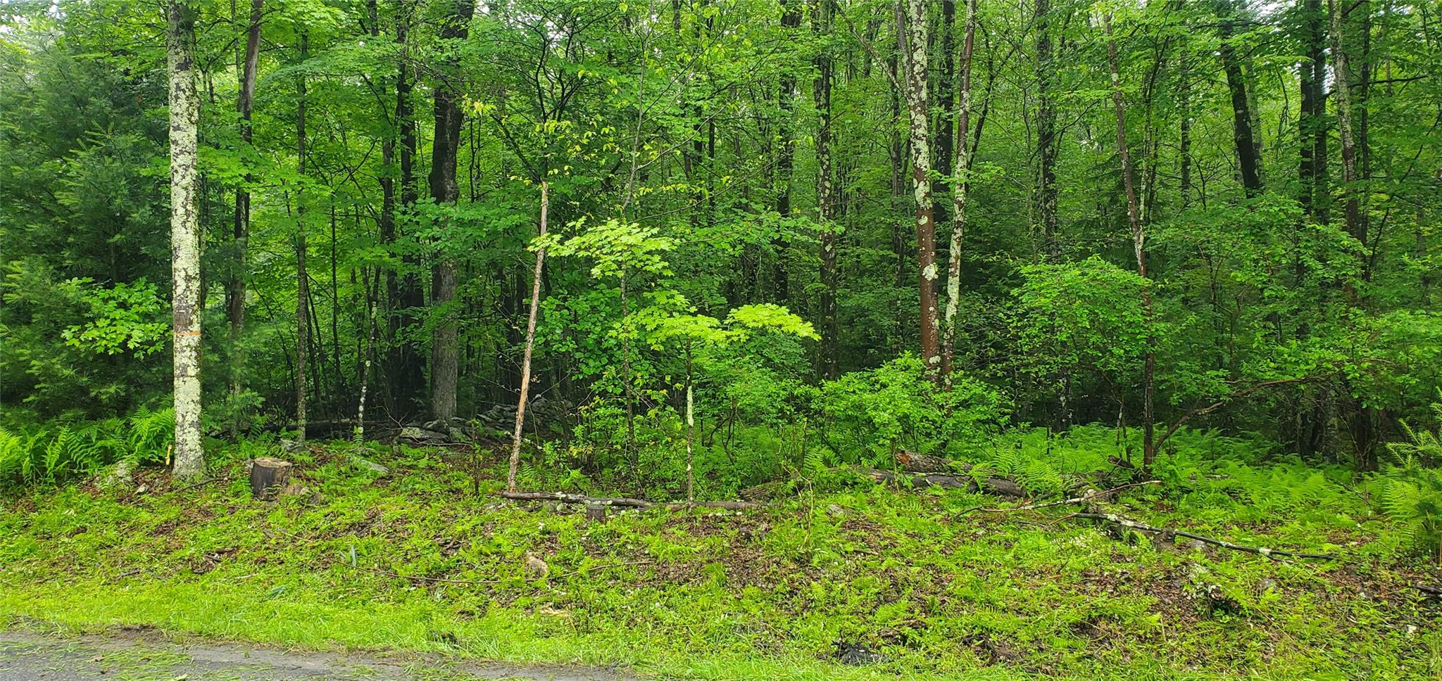 #1 photo, Tr 105 Cypert Road, Fallsburg , NY 12733