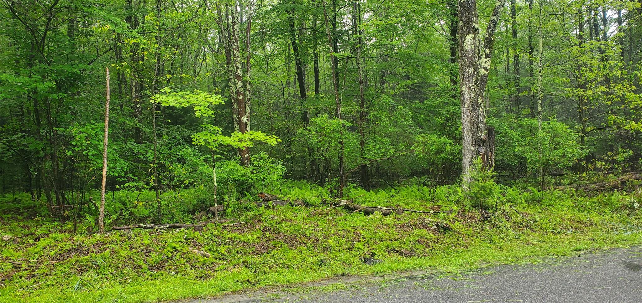 #2 photo, Tr 105 Cypert Road, Fallsburg , NY 12733