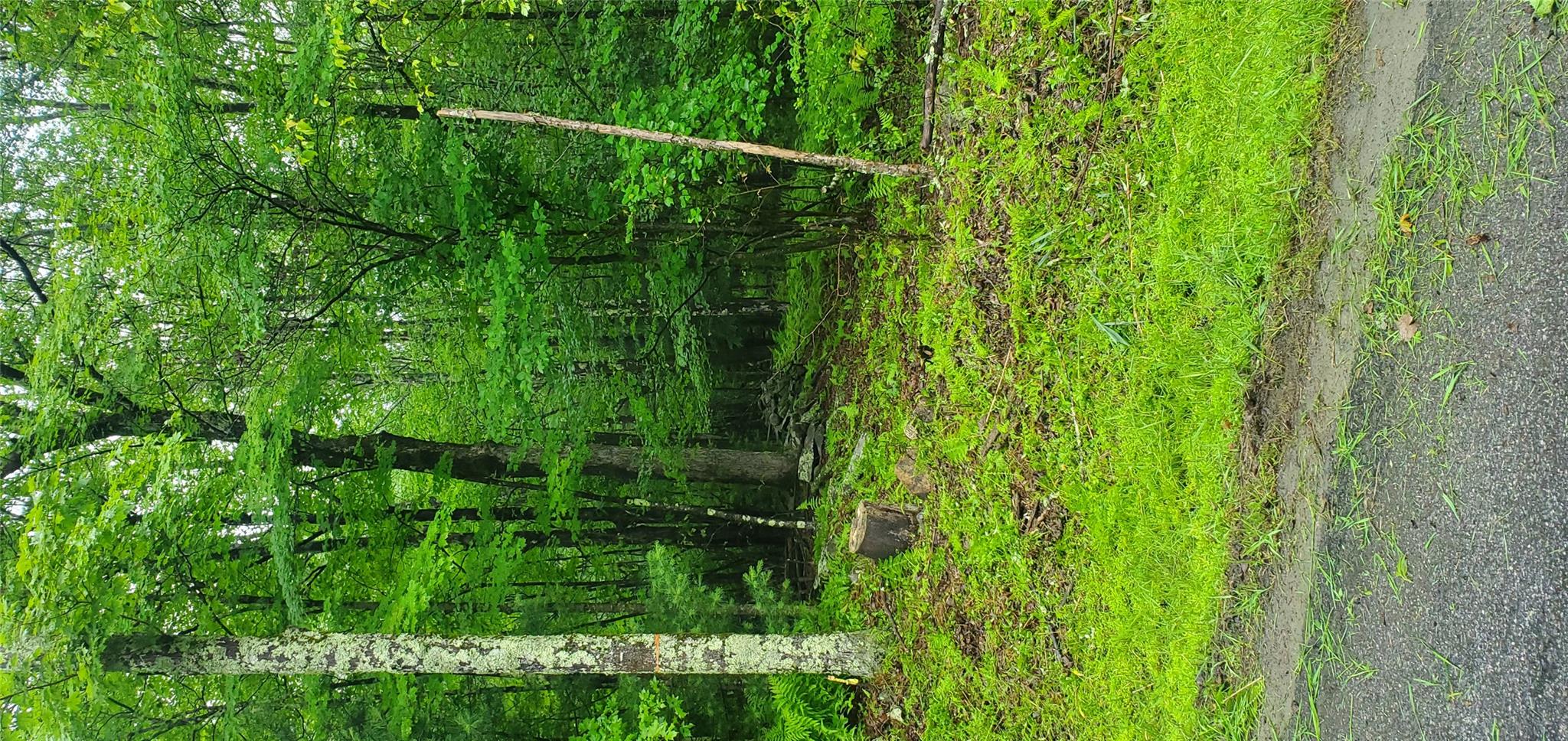 #3 photo, Tr 105 Cypert Road, Fallsburg , NY 12733