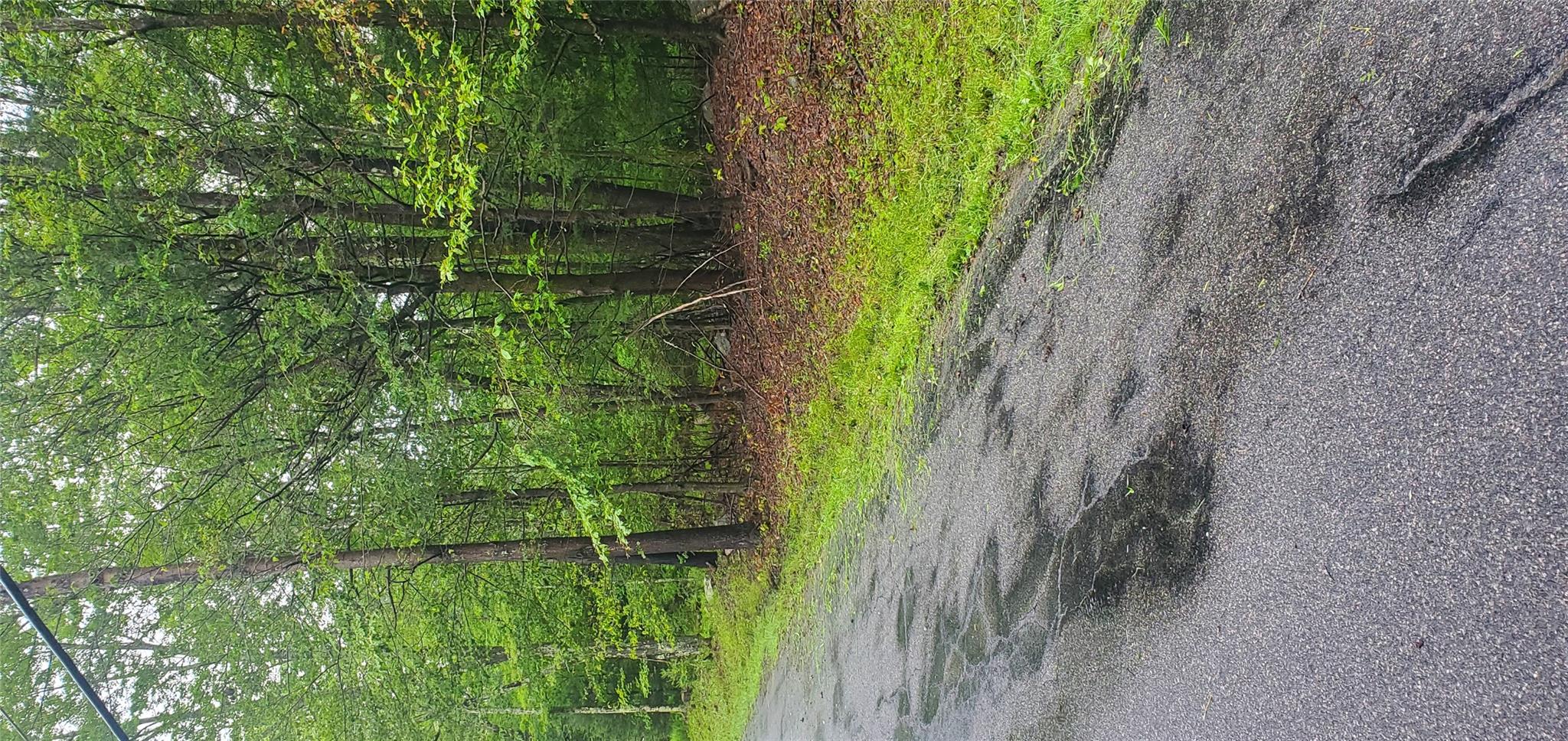 #4 photo, Tr 105 Cypert Road, Fallsburg , NY 12733