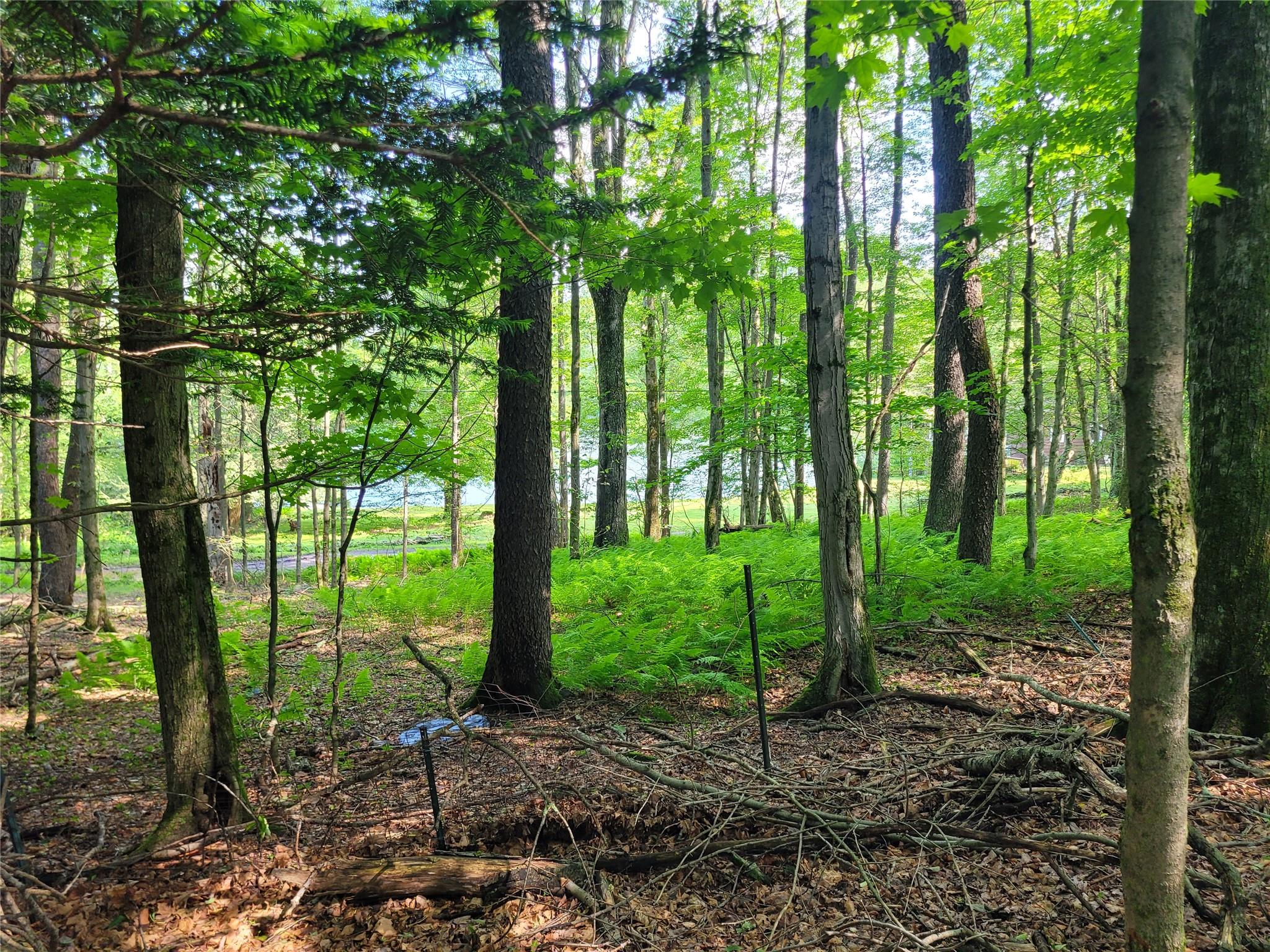 #4 photo, 1485 Briscoe Road, Swan Lake , NY 12783