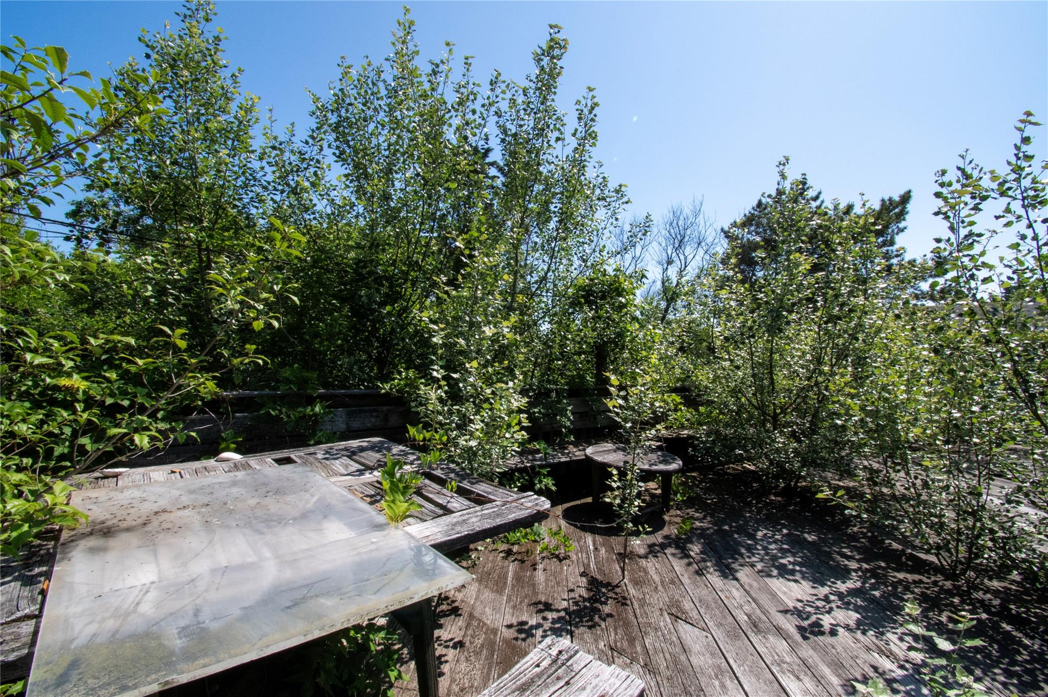 #13 photo, 28 Ocean Walk, サフォーク郡 Babylon , NY 11702